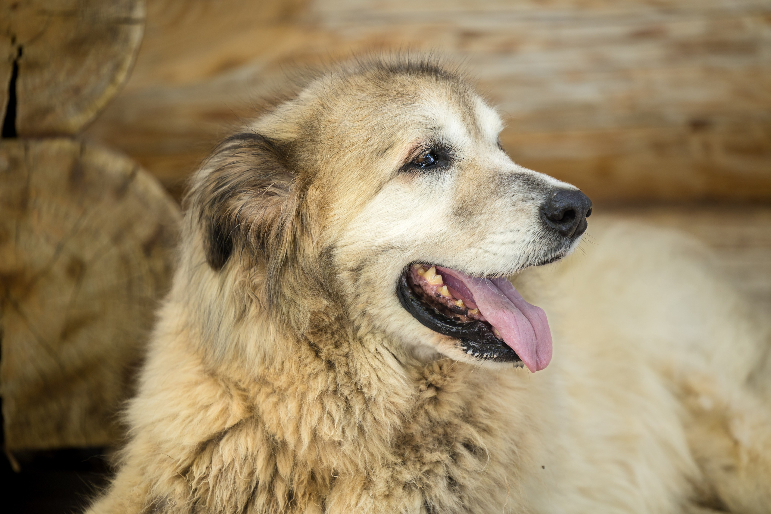 Omar & Nimrod. AMIR BUCHNIK PHOTOGRAPHER