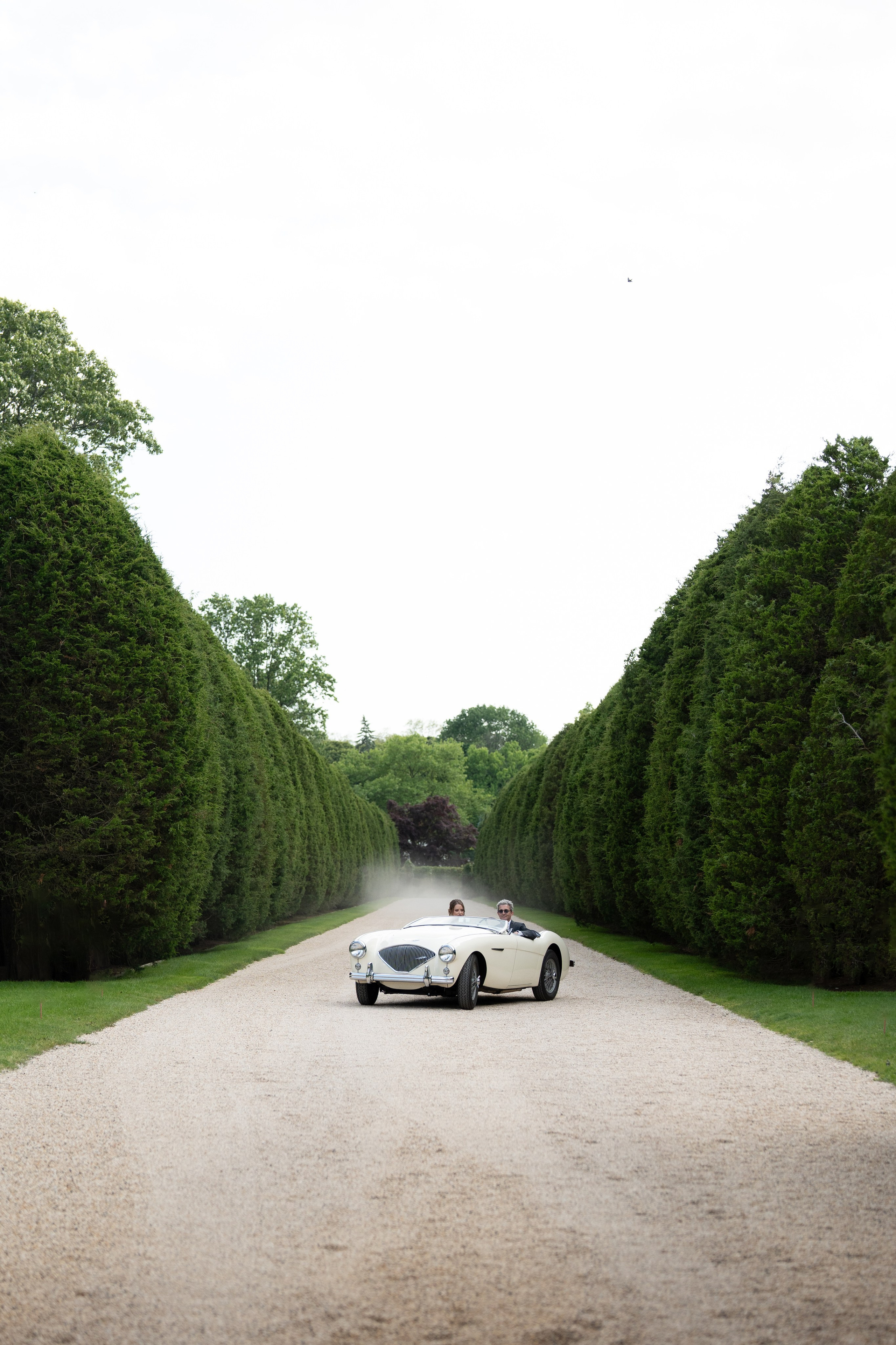 Noah and Luis. Anna Krasnova Wedding photographer