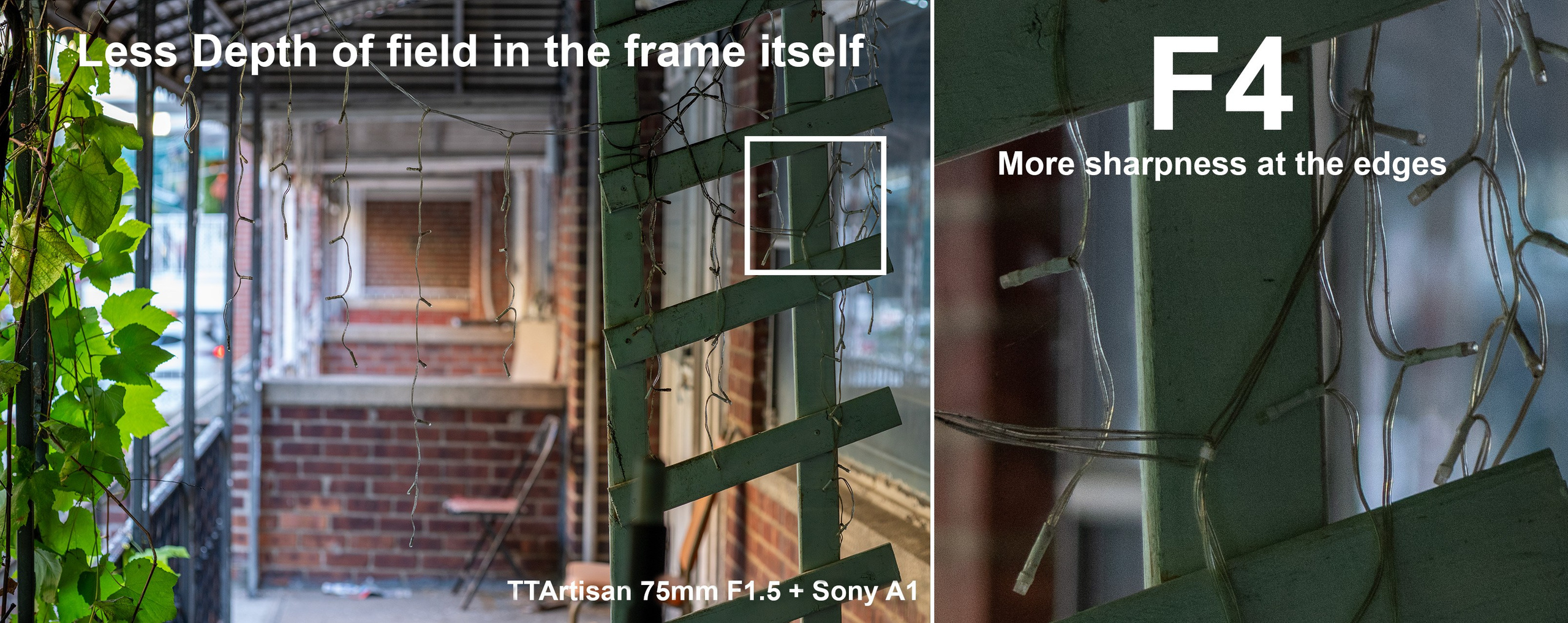 TTArtisan 75mm F1.5 Today comparison with other lenses. Emin Kuliyev — Award-Winning Wedding Photojournalist NYC & USA | Best Wedding Photographer Known for Candid, Timeless Moments