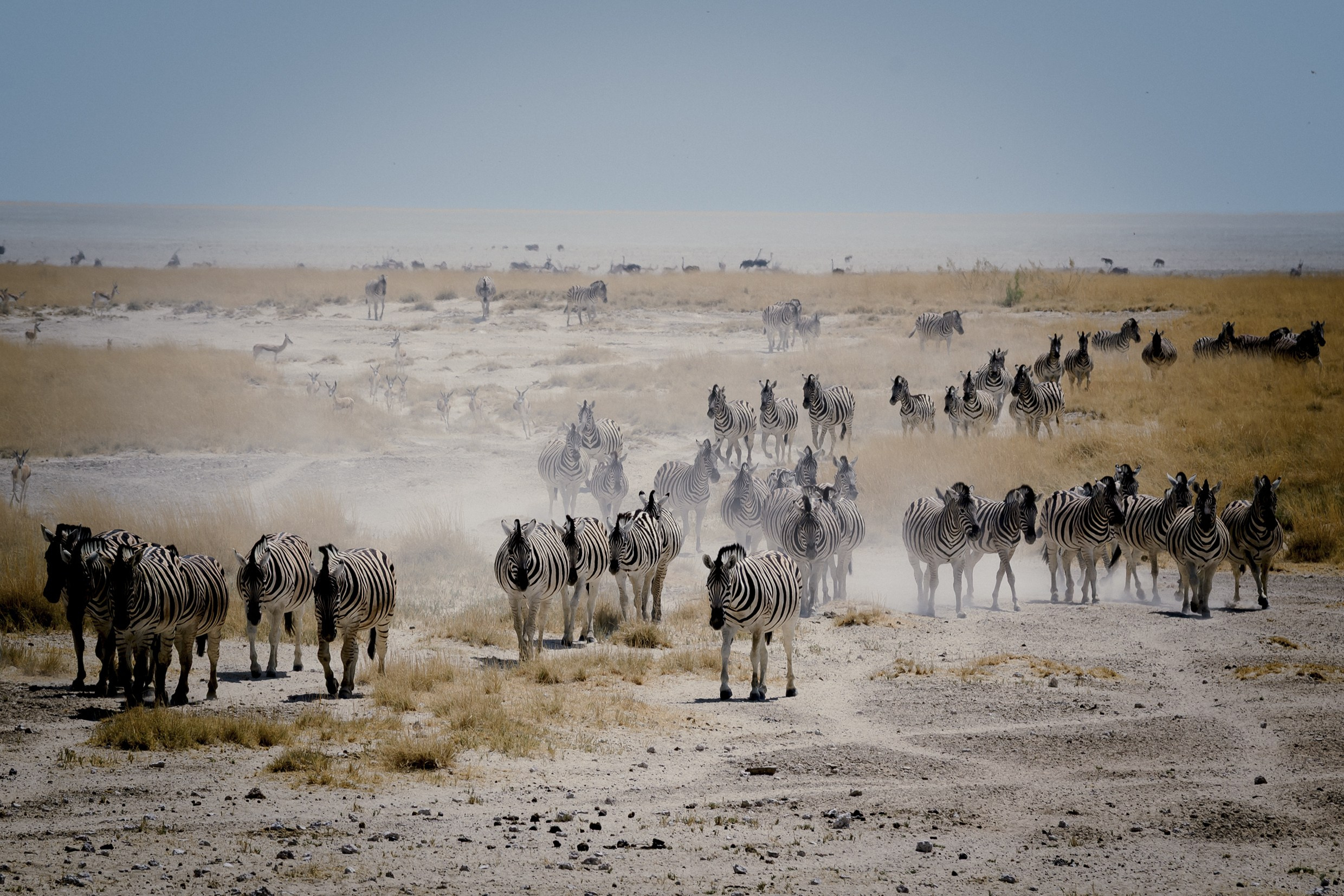 Travel. Klausenburg Photography