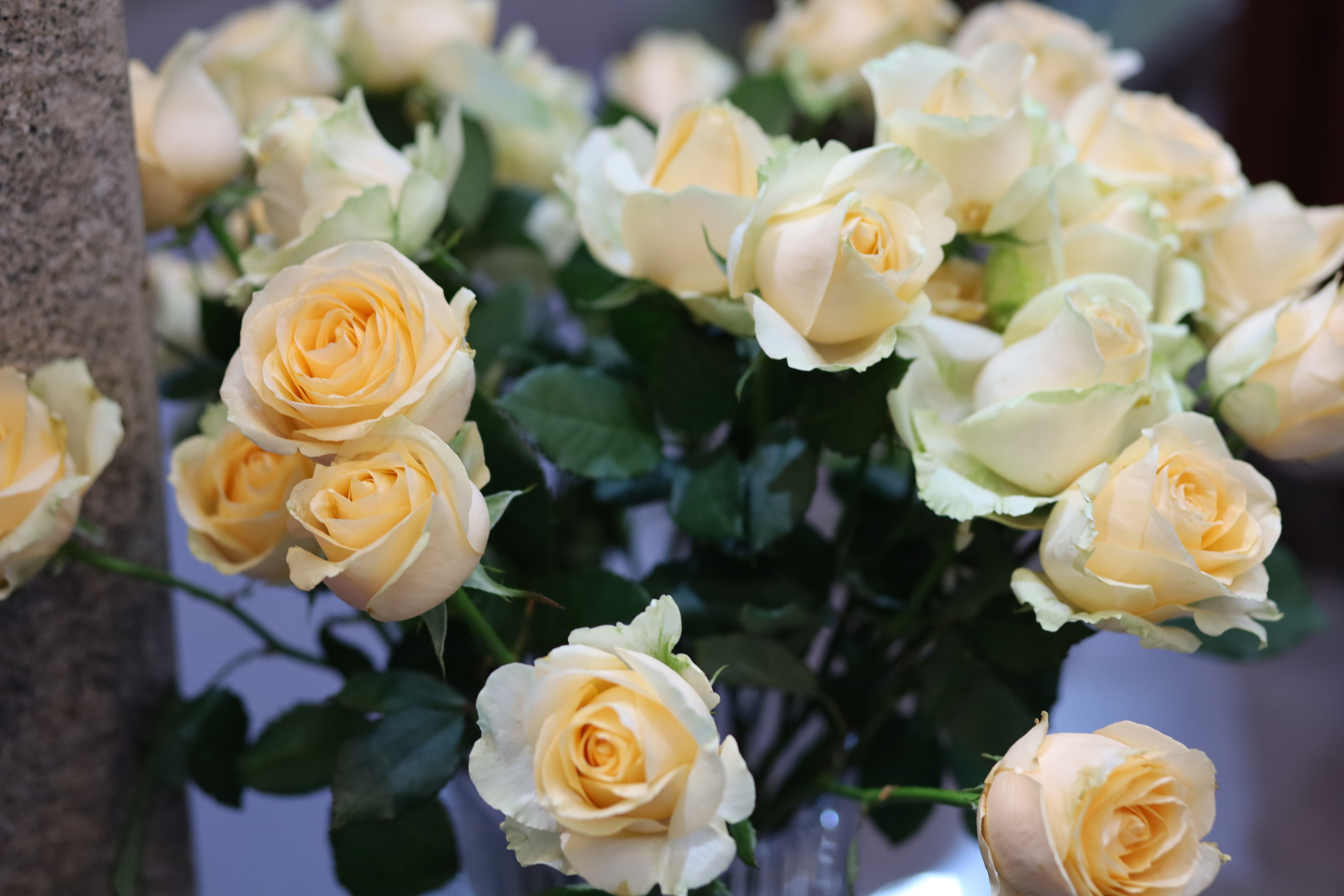 30 anos de Sacerdócio - Pe. Reinaldo Torres. Fotógrafo de momentos Sagrados