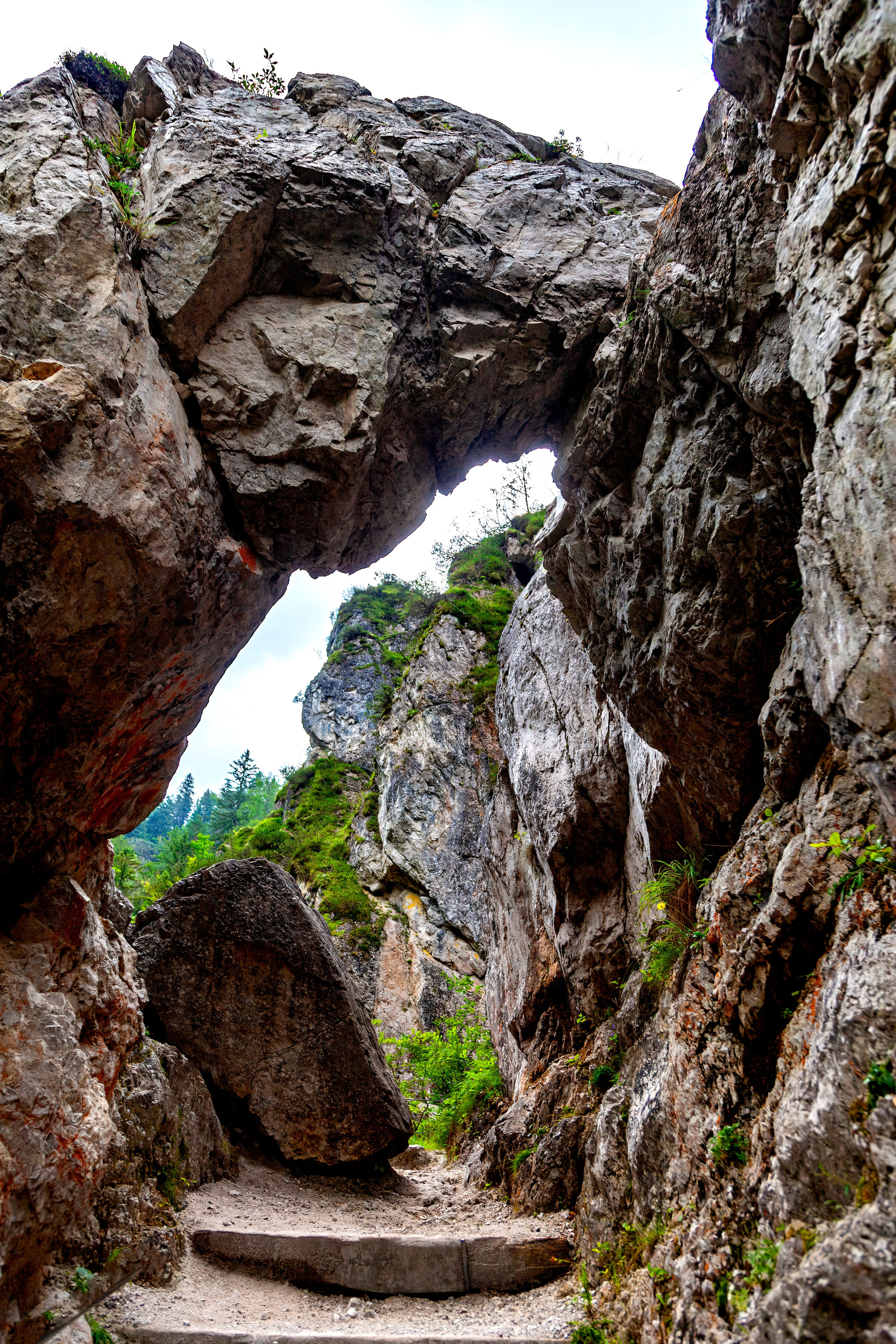 197.Ötscher Base Nature Park.Austria.21.8.2025. Путешествия в формате 360......