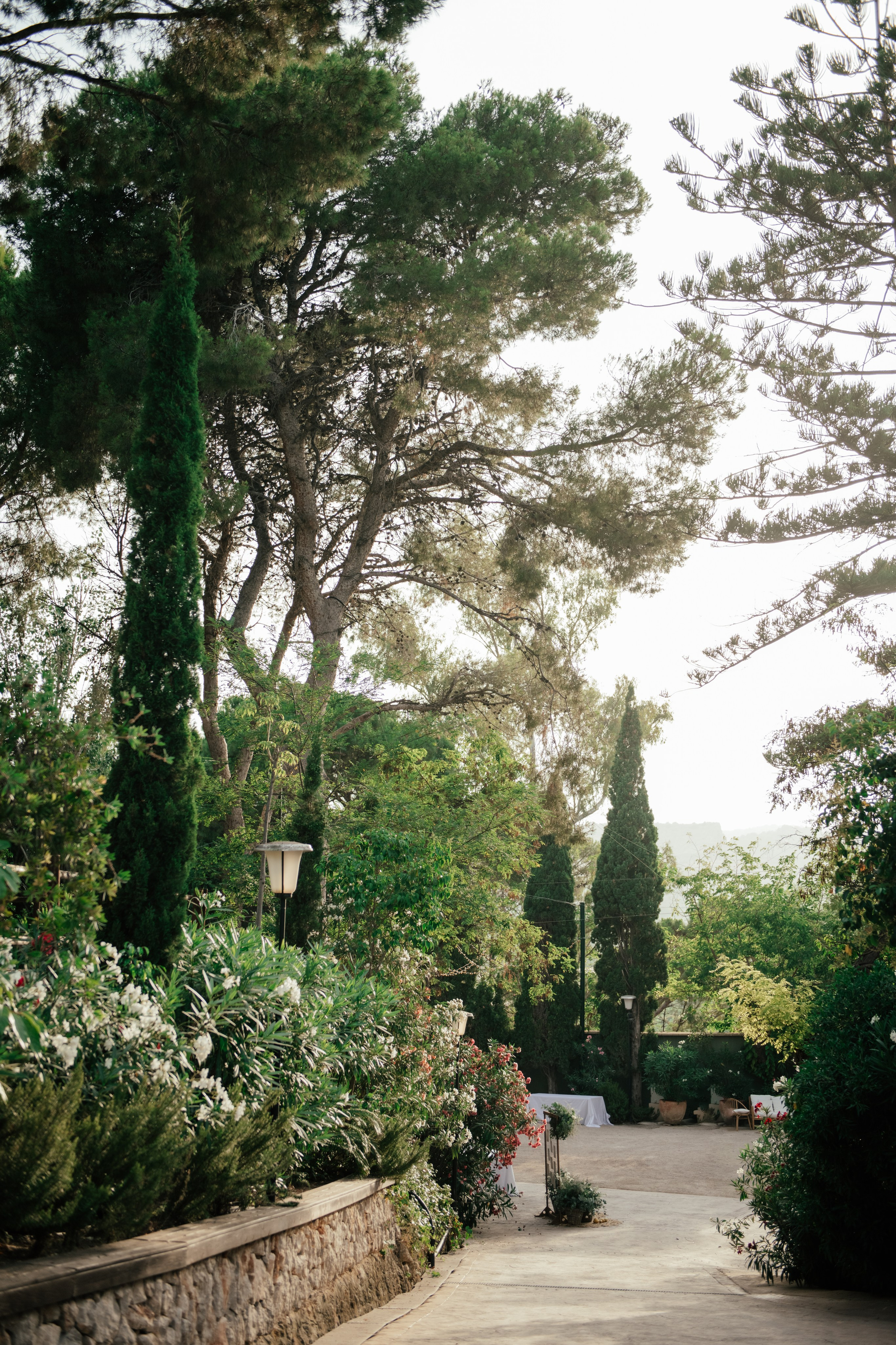 Alicia & Marc (Finca Marques de Montemolar)