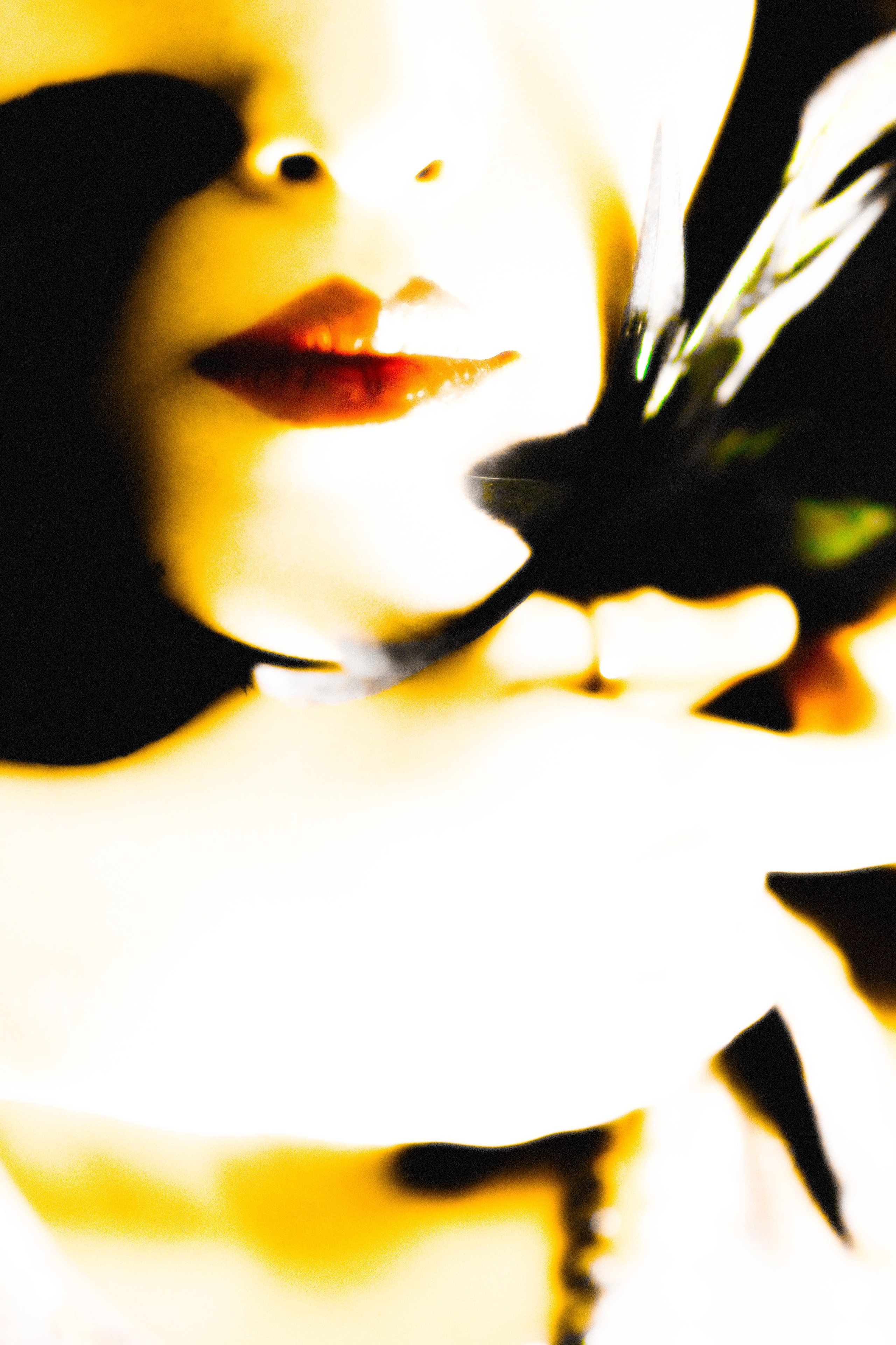 MIRAN　PROJECT. Anna Miyauchi