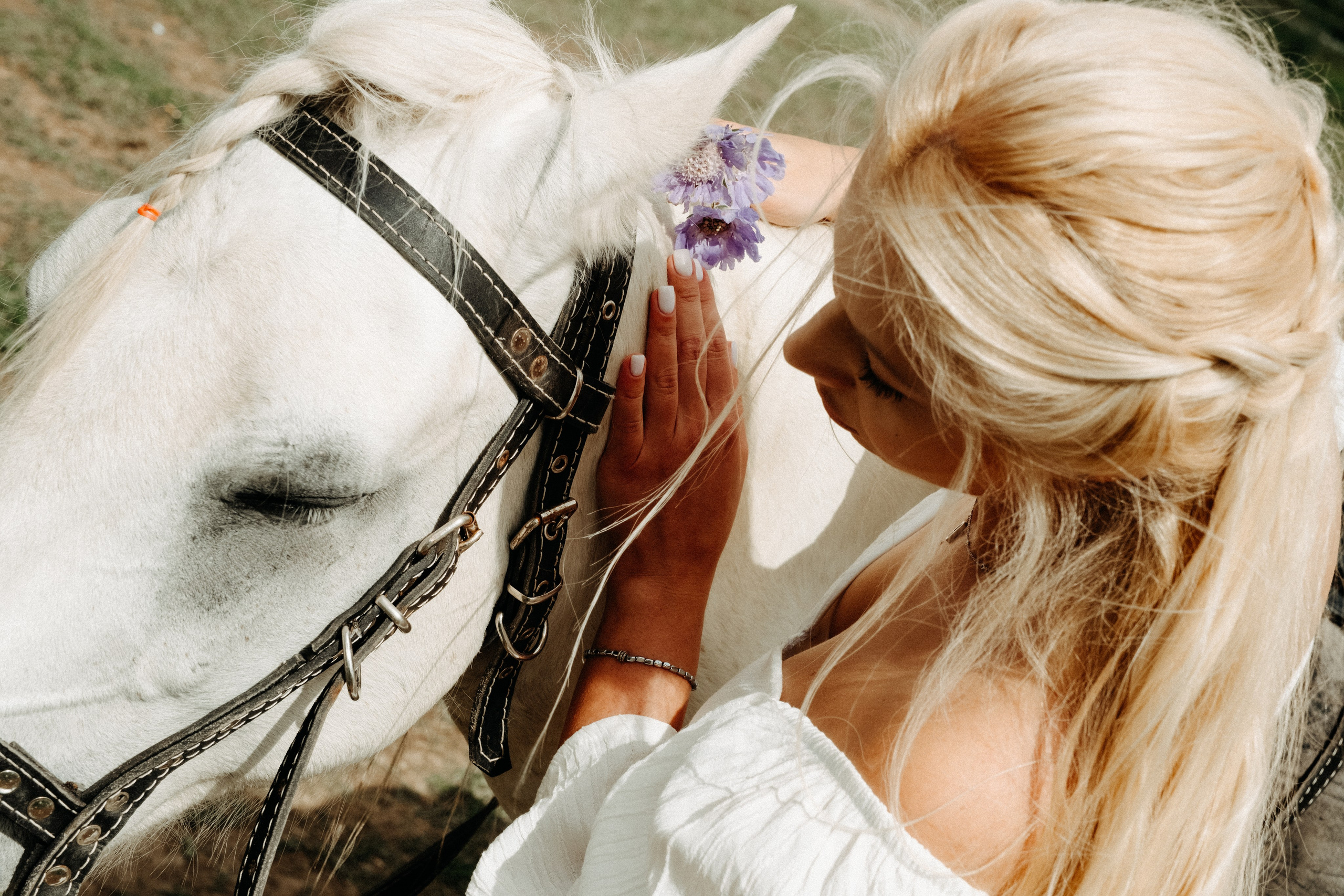 Woman touching horse in mountain field