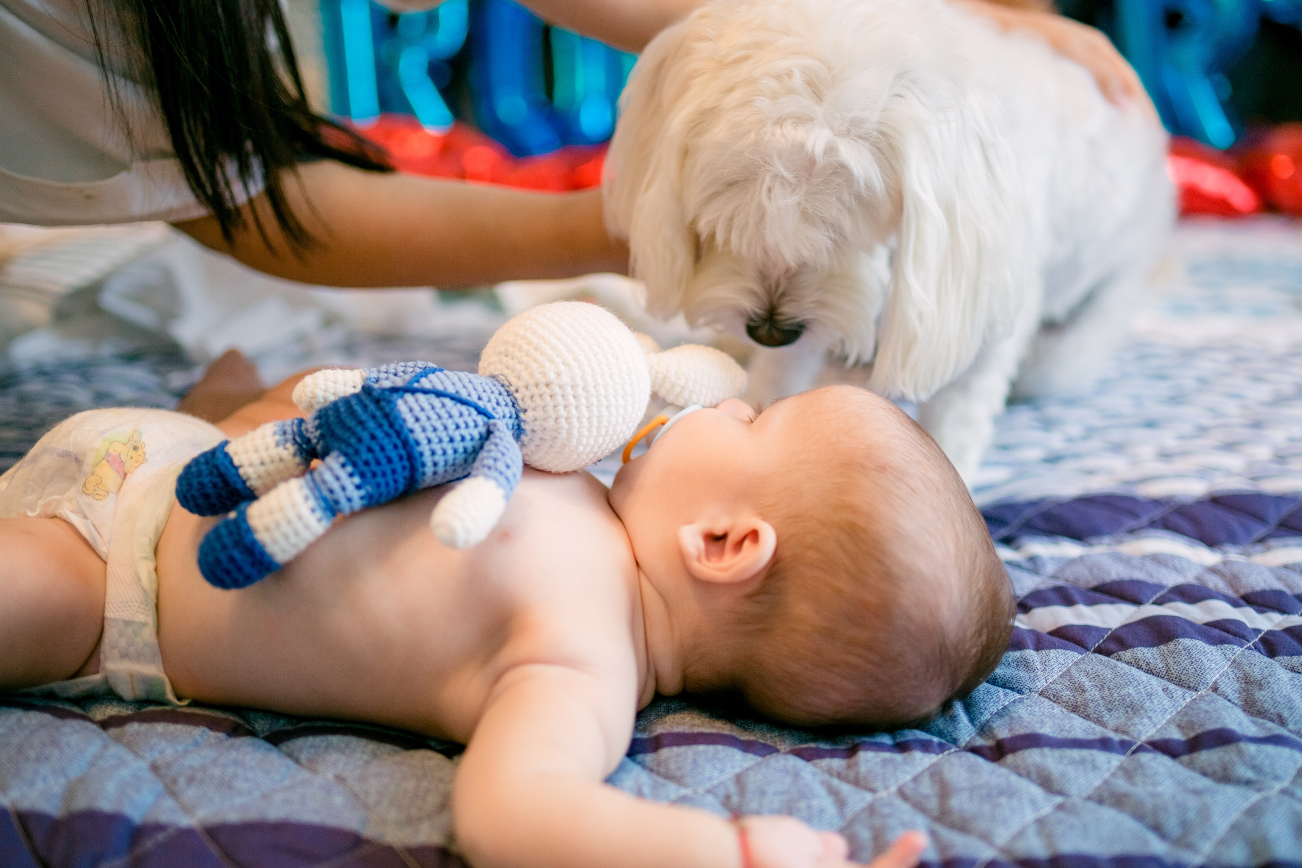 Poze Botez. Lucian Dedeu — Fotograf de nuntă și eveniment