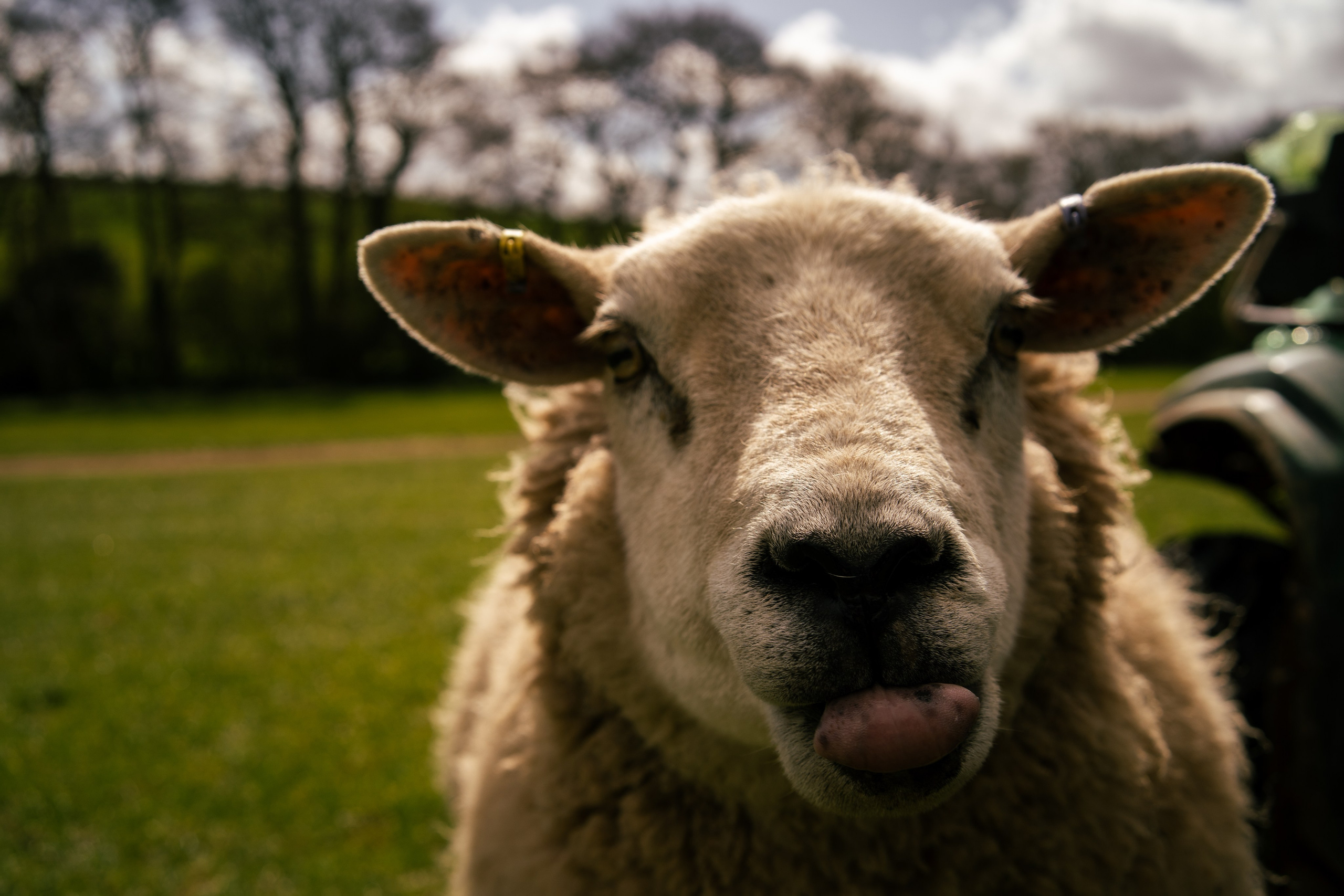 Farming. Ryan Hewitt Photographer