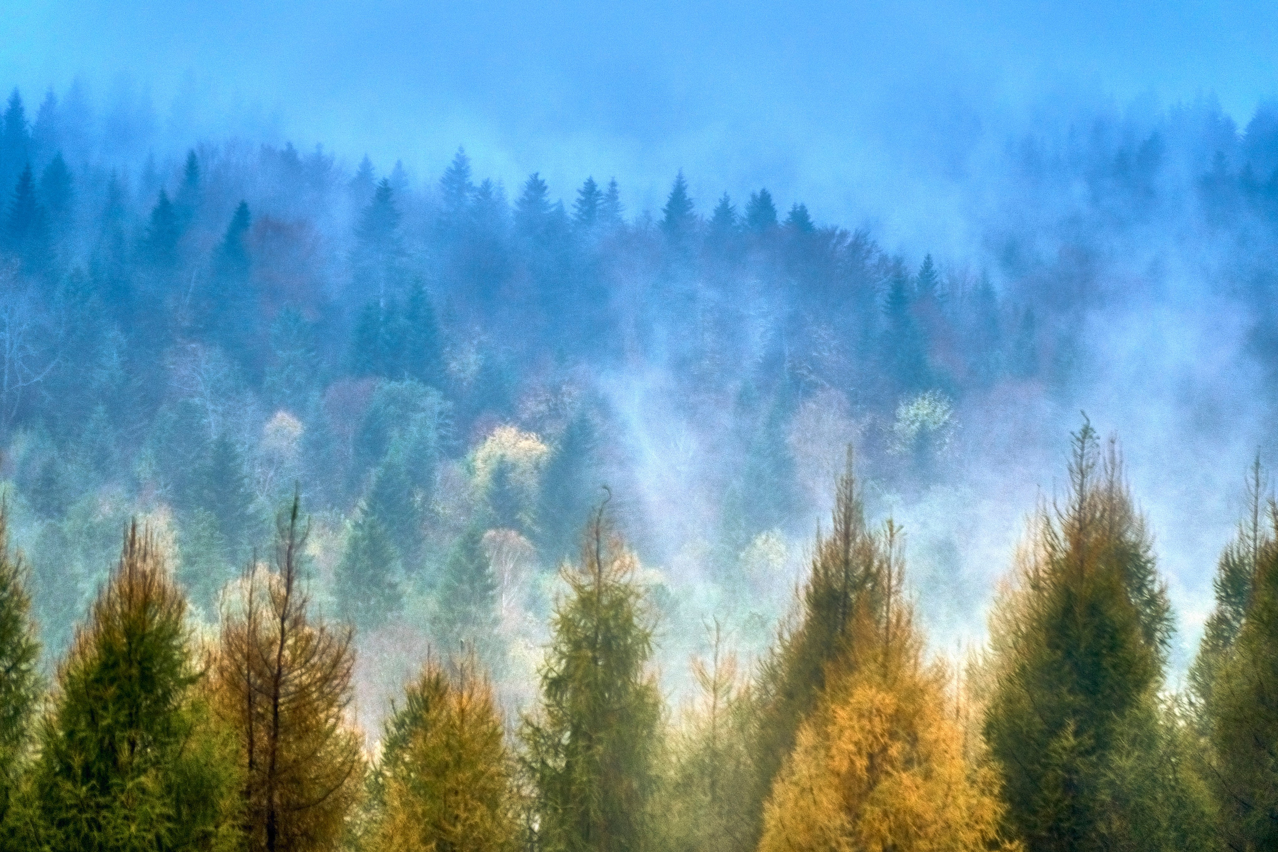 Бещады — здесь остановилось время. Андрей Шипилов — Фотография & Видеография