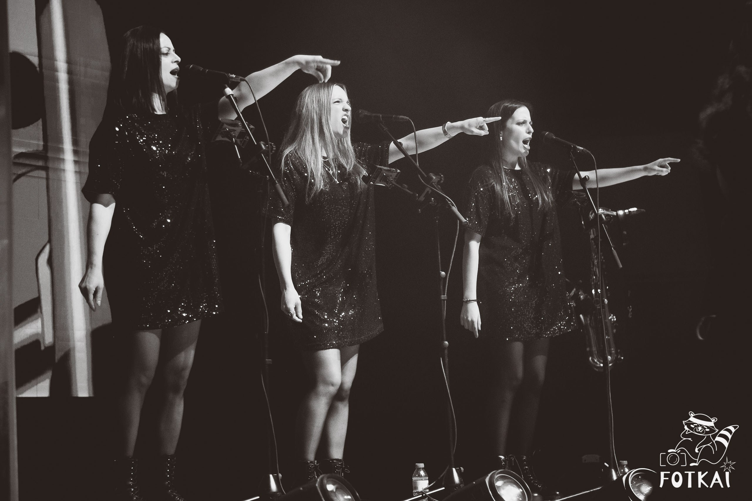 Pûlsar To Floyd en Torrevieja | Concierto en Auditorio Internacional – Fotoreportaje FOTKAI