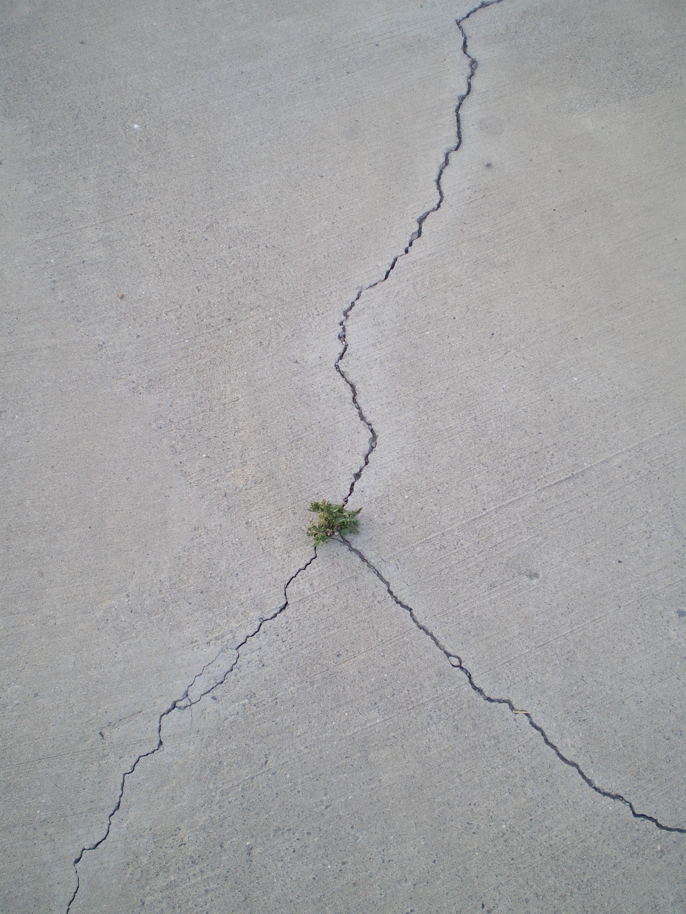 Ode to istanbul. Daria Sukhikh | Photography