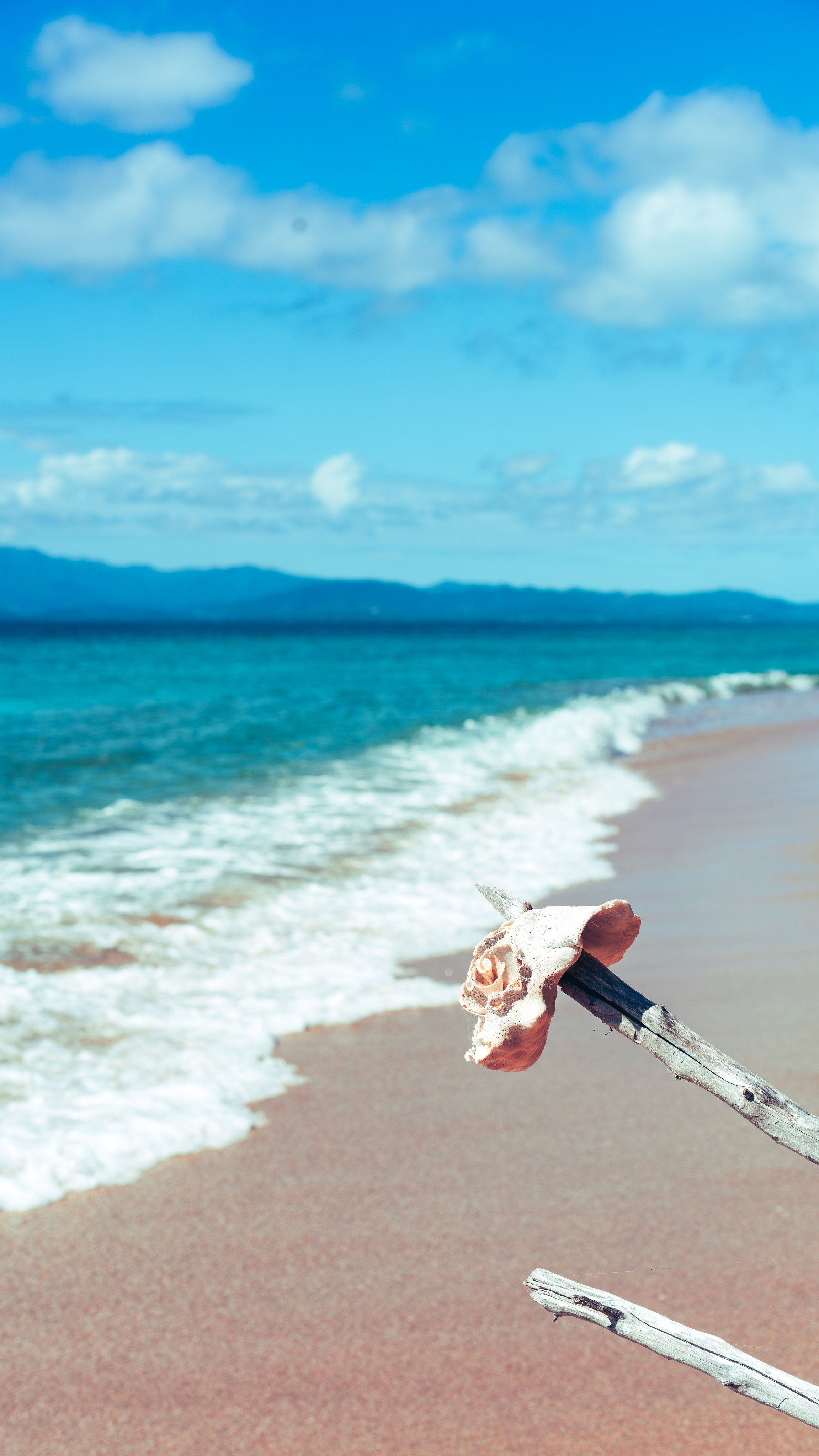 Natural Light. Manny Cruzado Photography