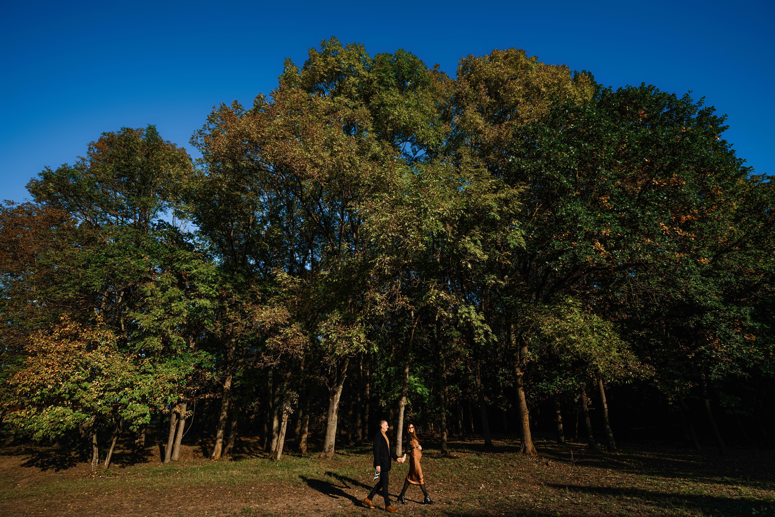 Norbert & Raluca. Erik Bagy | Fotograf de Nuntă