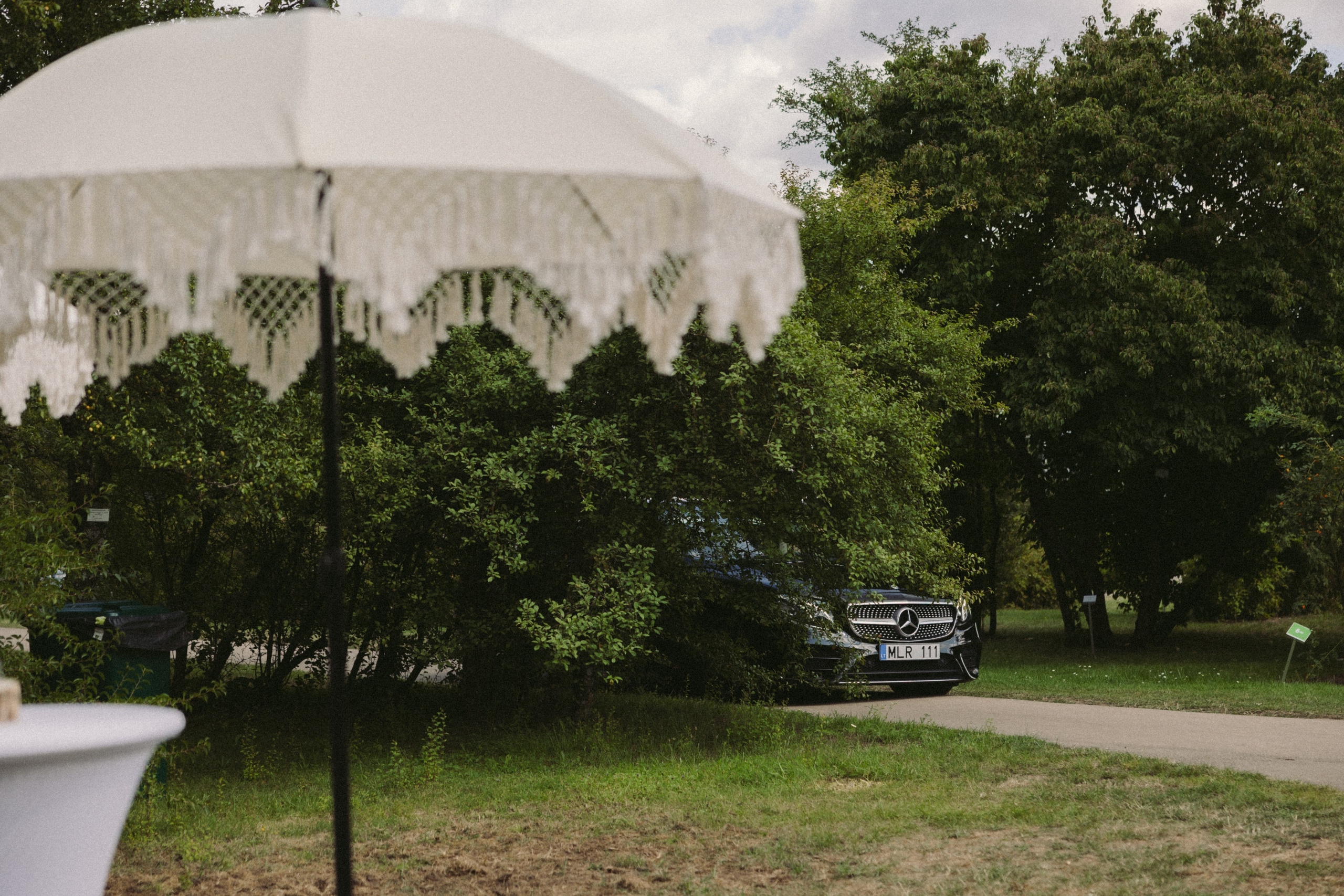 Ieva ir Martynas | Vestuvės Kauno botanikos sode. Vestuvių ir šeimų fotografė Lena Bondarenko / belove photo