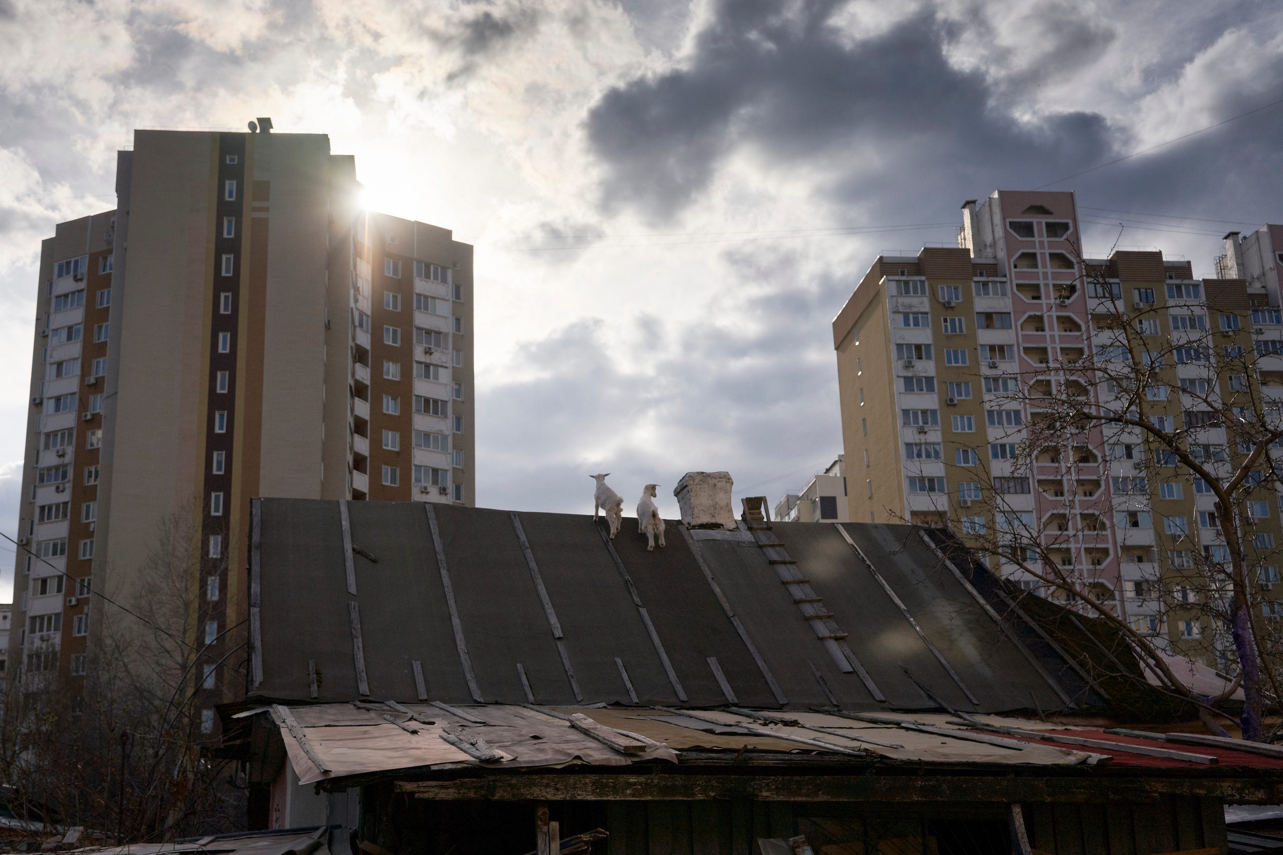 Baturynska 12. Igor Ishchuk documentary photographer