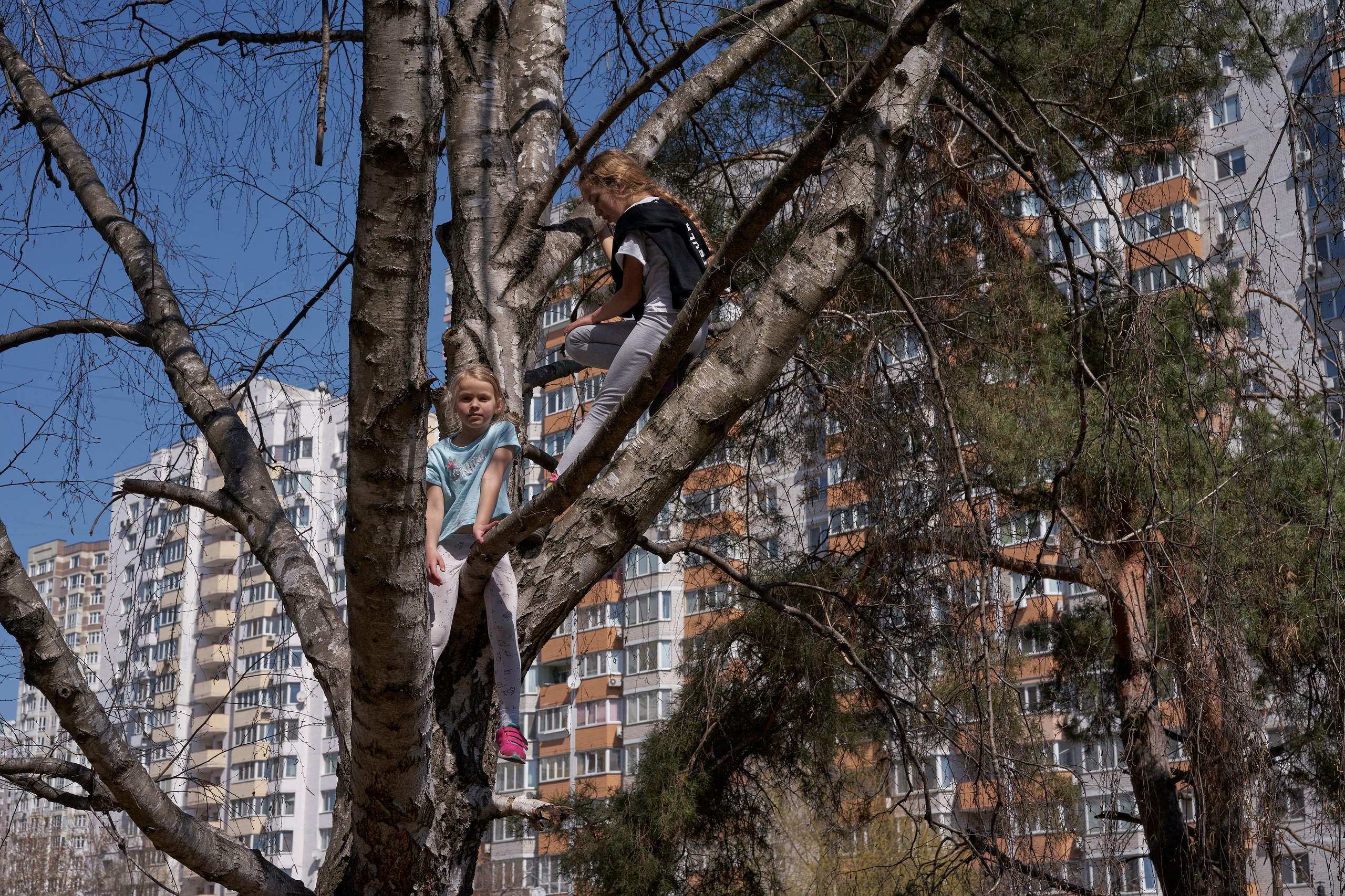 Eva and Sonya (Natalia’s granddaughters) are playing on the tree in the backyard of Natalia’s house.