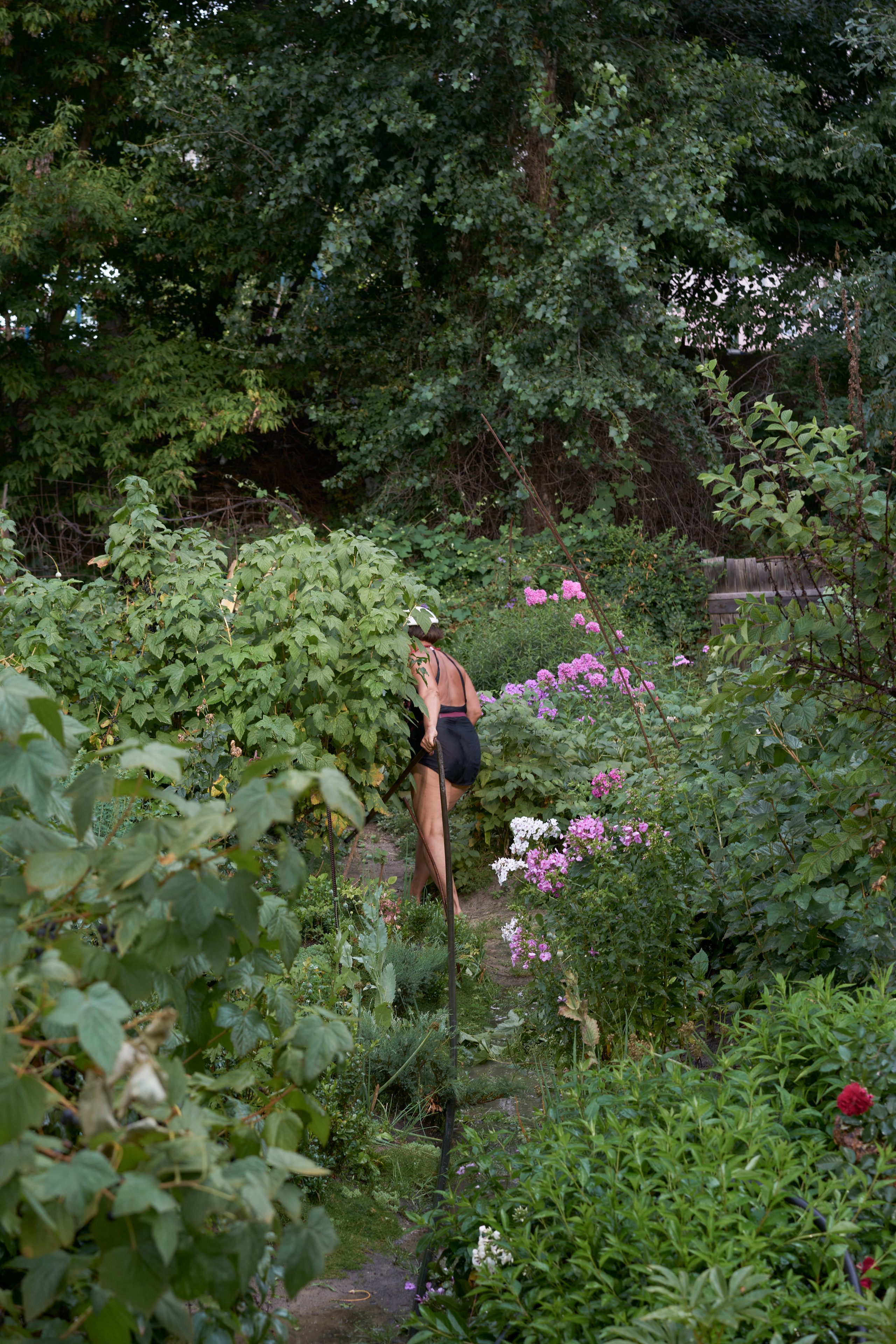 Natalia Dmitrievna with a hose while watering her garden.