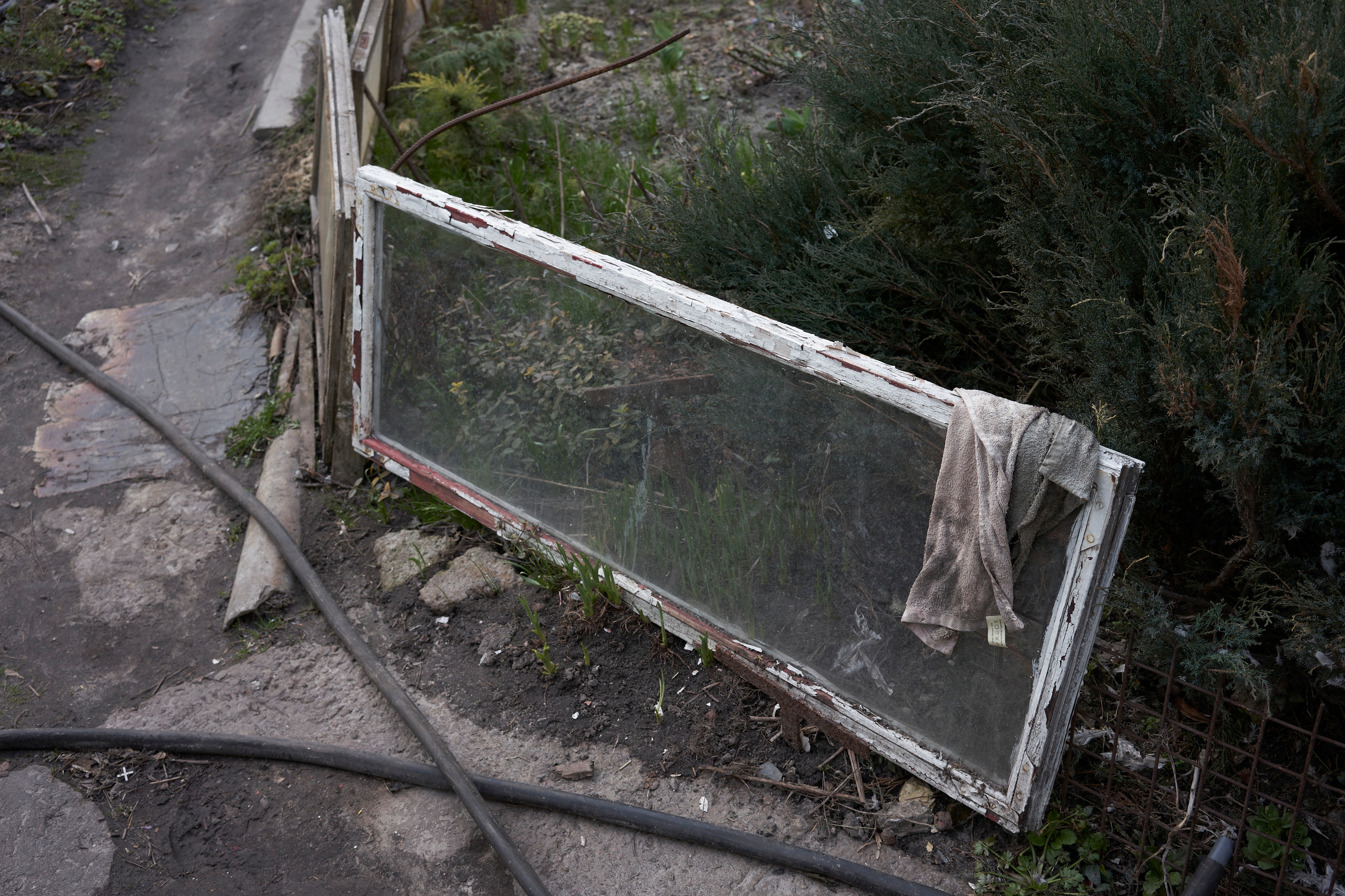 A fence made from old windows in Natalia’s yard. Natalia uses this kind of fence to protect her garden from chickens.