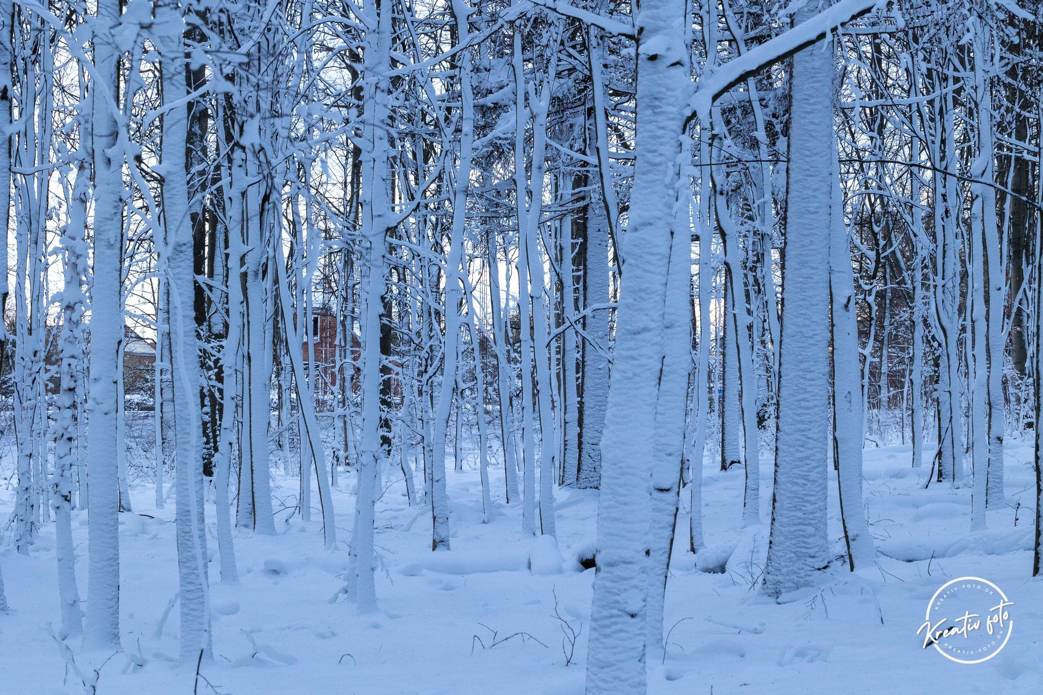 Vinter. Fotograf Aarhus | Portrætfoto Århus | Flotte billeder