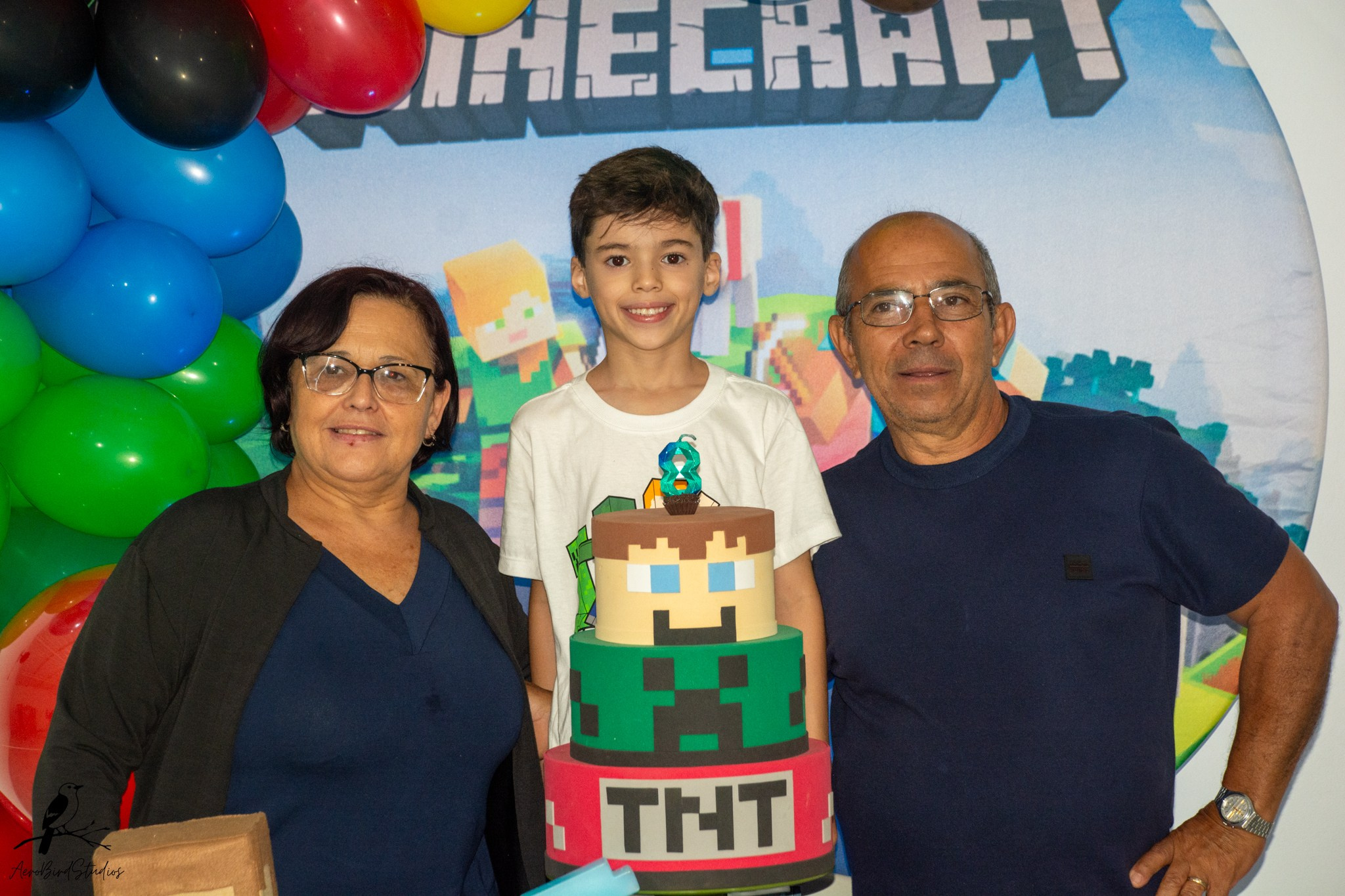 Leonardo 8 ano. AerobirdStudios