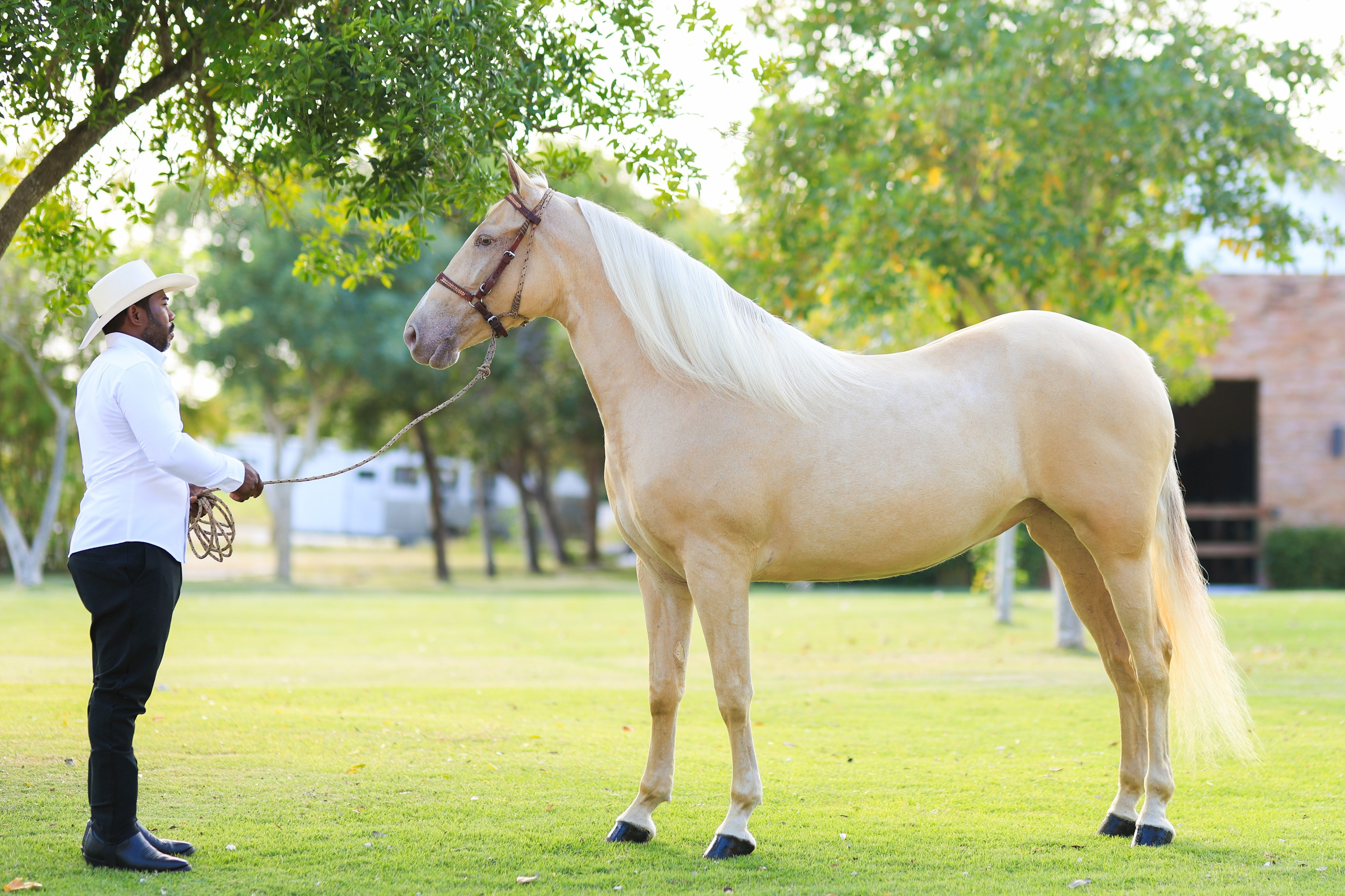 Criadero AC - Documental. VisualAvalon