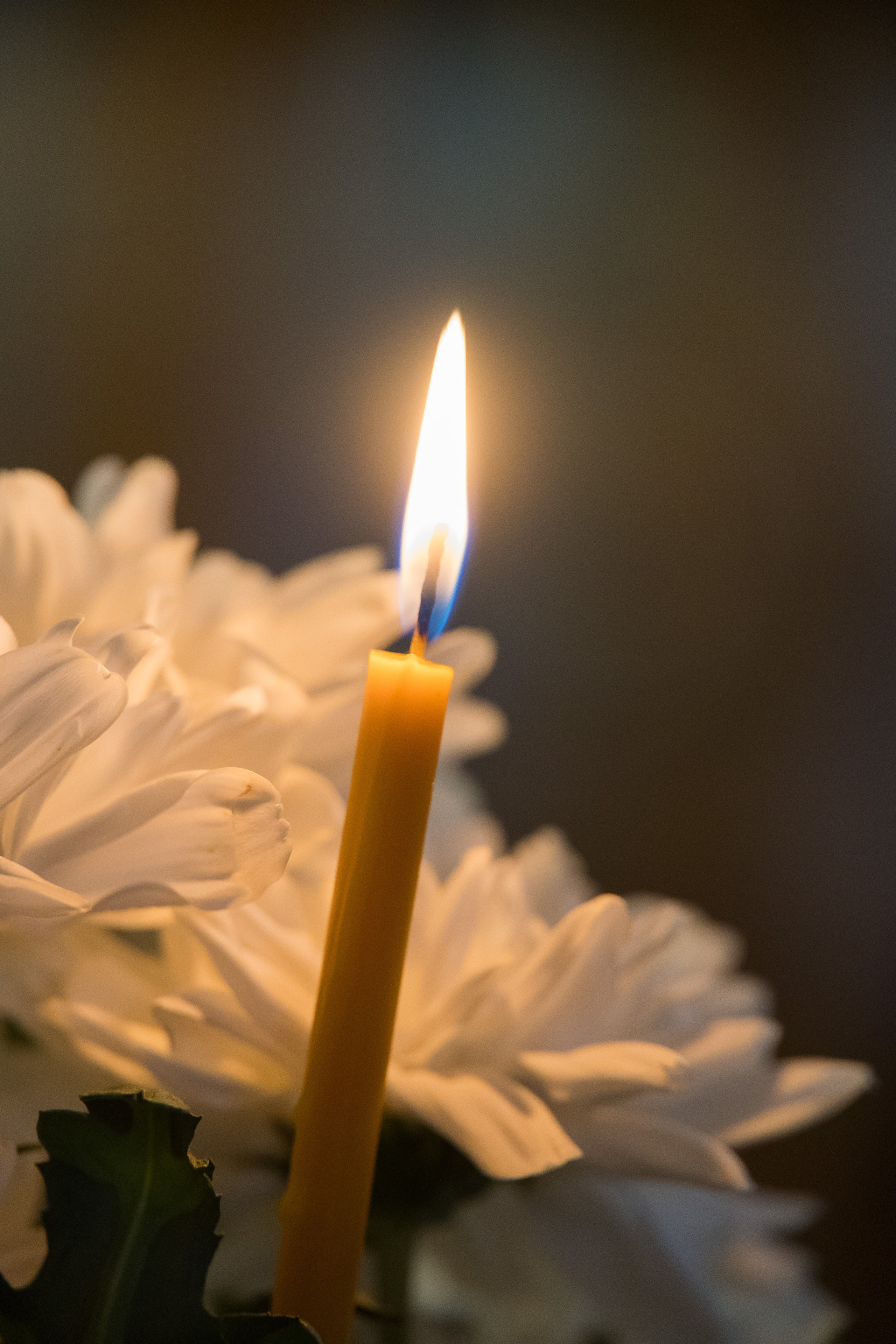 Lya. ✔️ Фото Видео на свадьбы и крестины Молдова — Cinematic.md