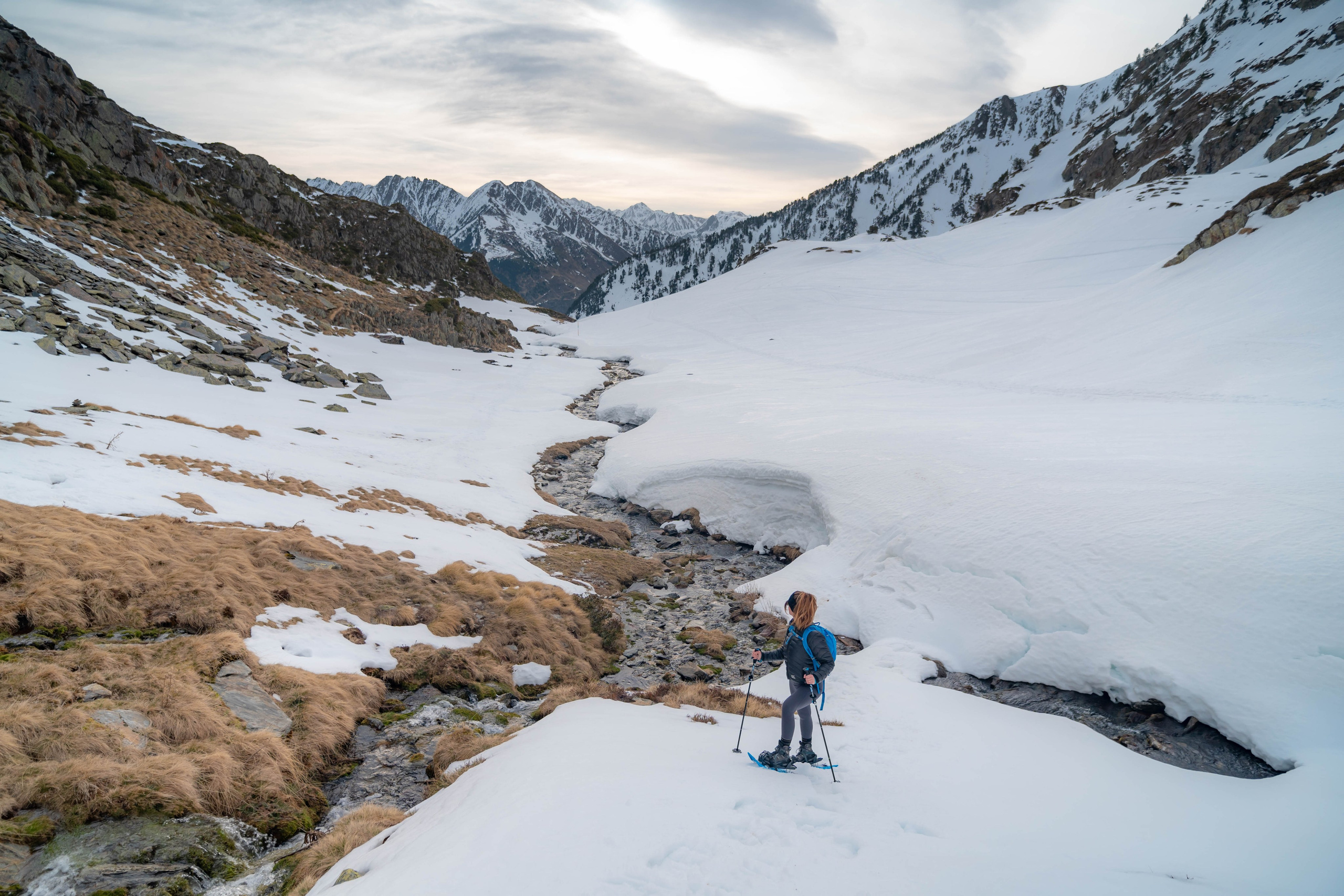 Ruta Comas de Fort. Alba del Norte Studio