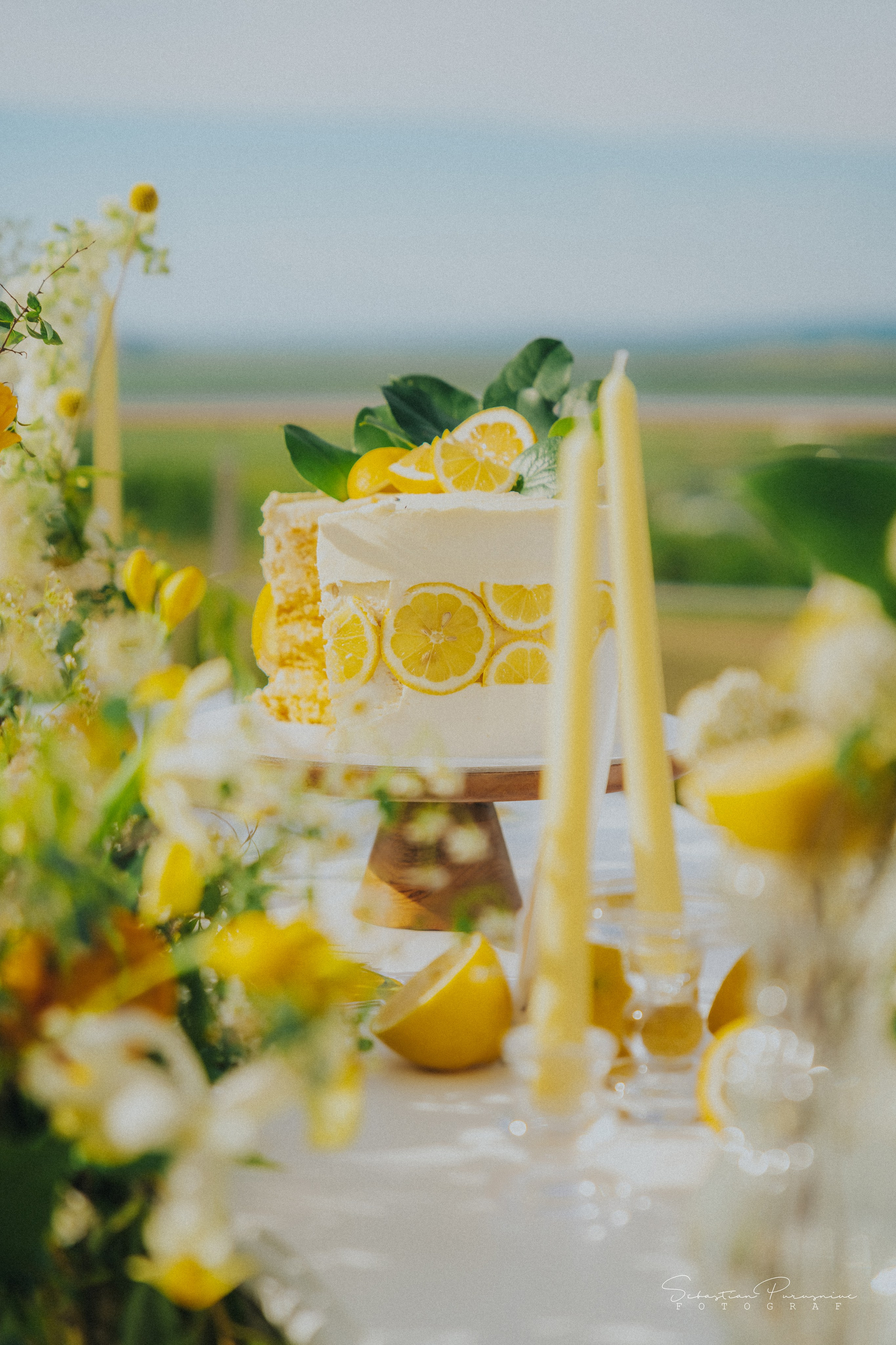 Love & Lemons. Sebastian Purusniuc Fotograf - Iasi