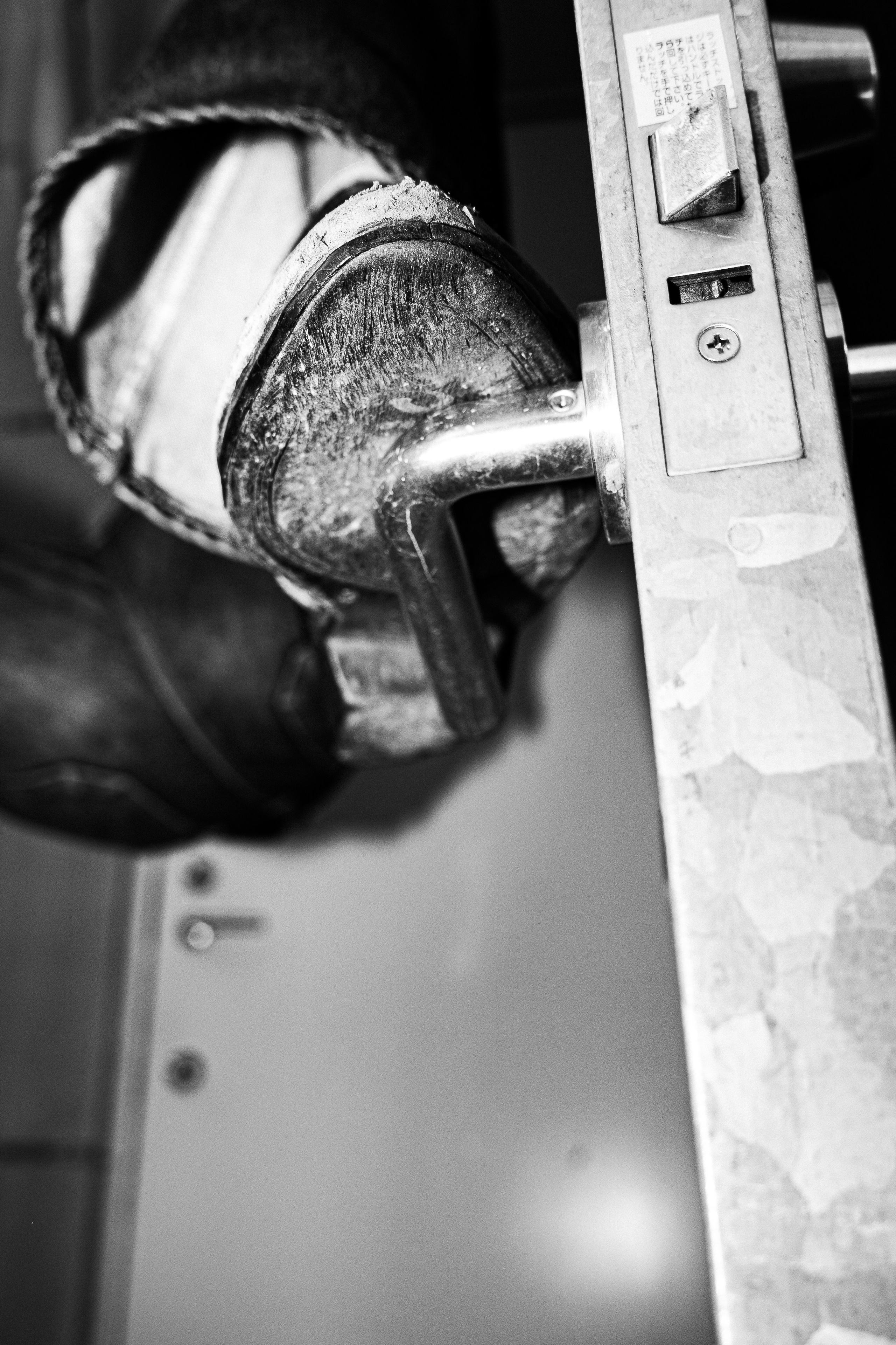 PIYAL PROJECT. Anna Miyauchi