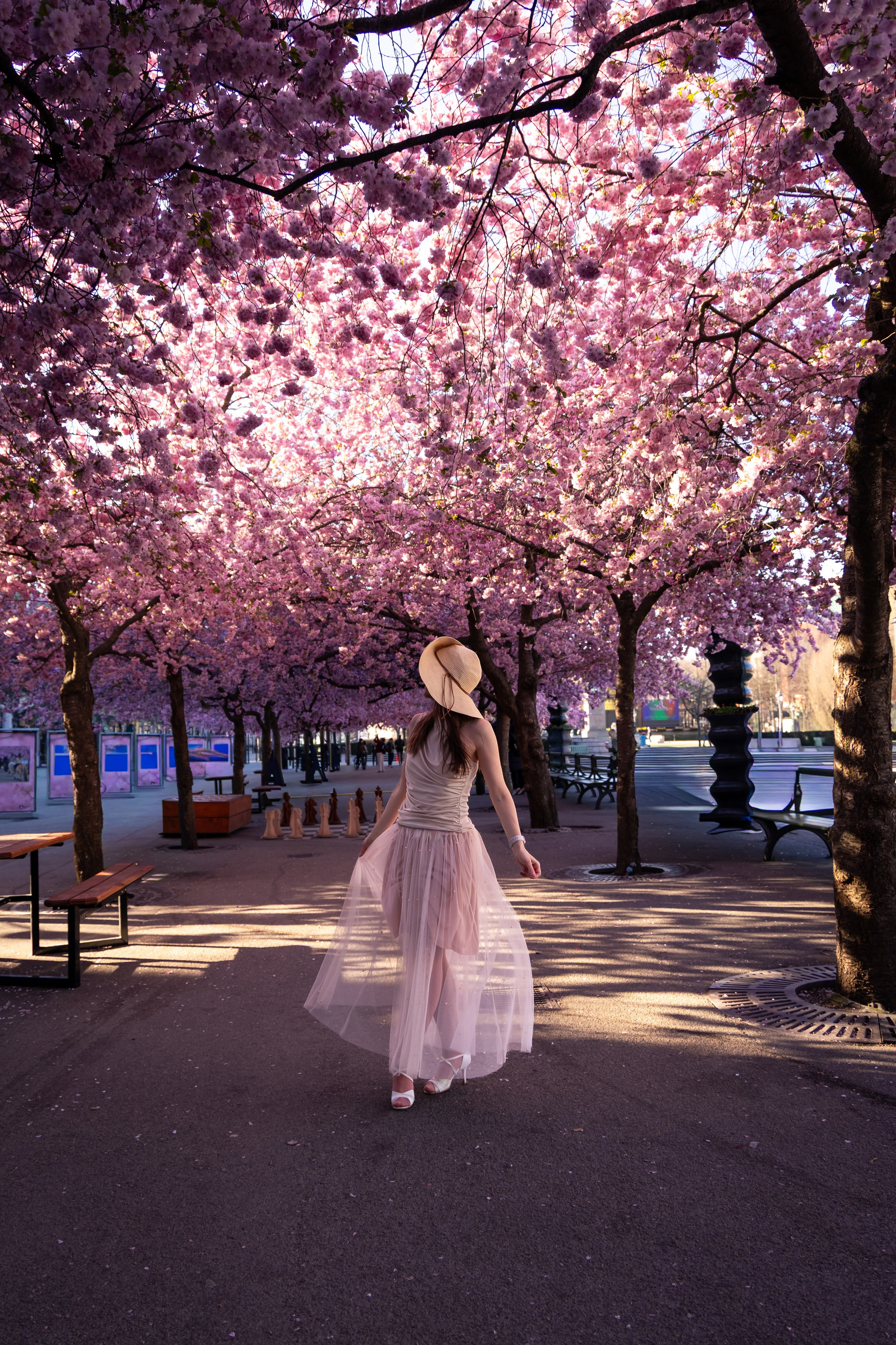 Sakura Mood. Iryna Zhyvora | Photographer | Stockholm