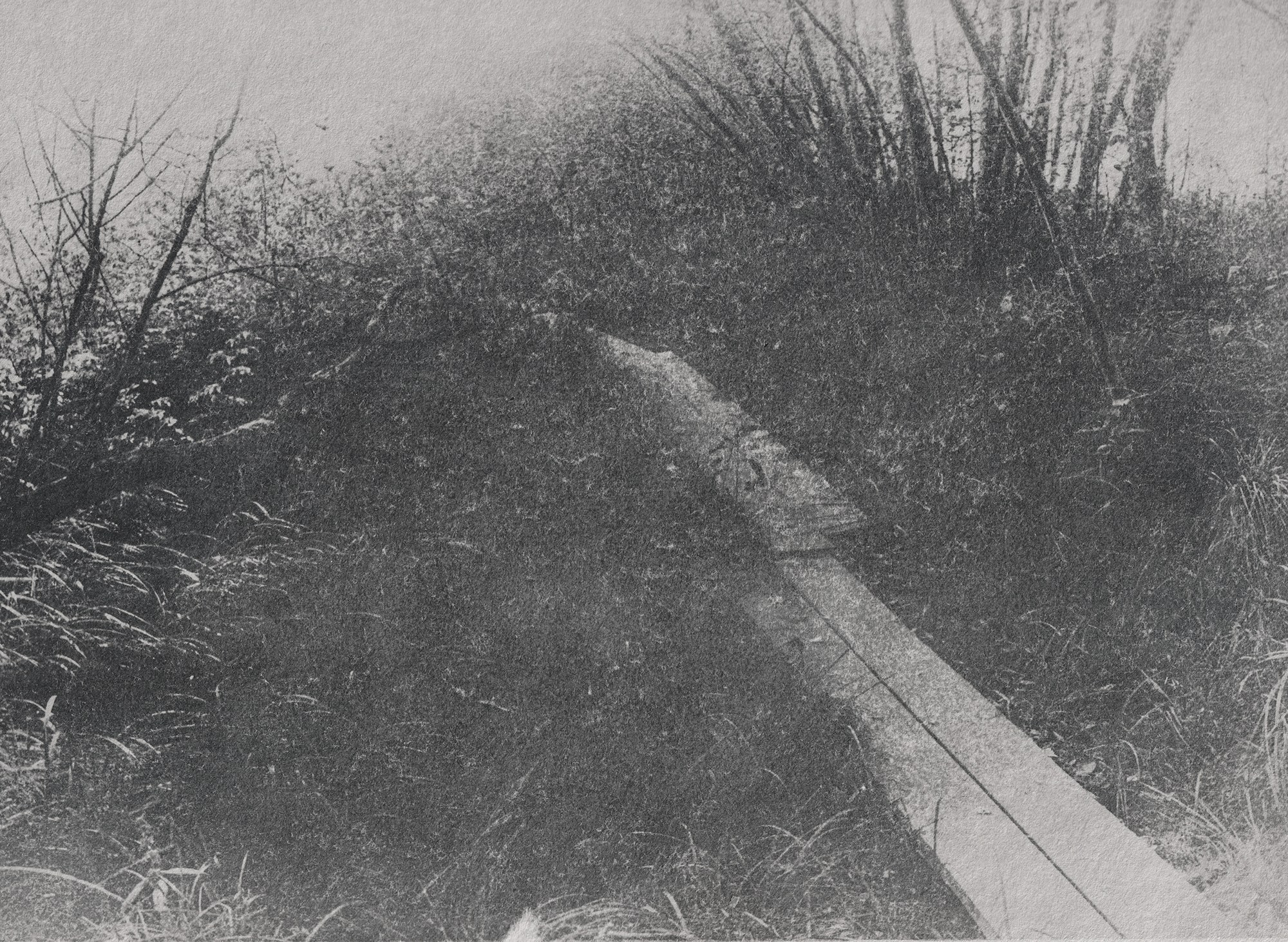 Babcia (ongoing). Jana Gertz