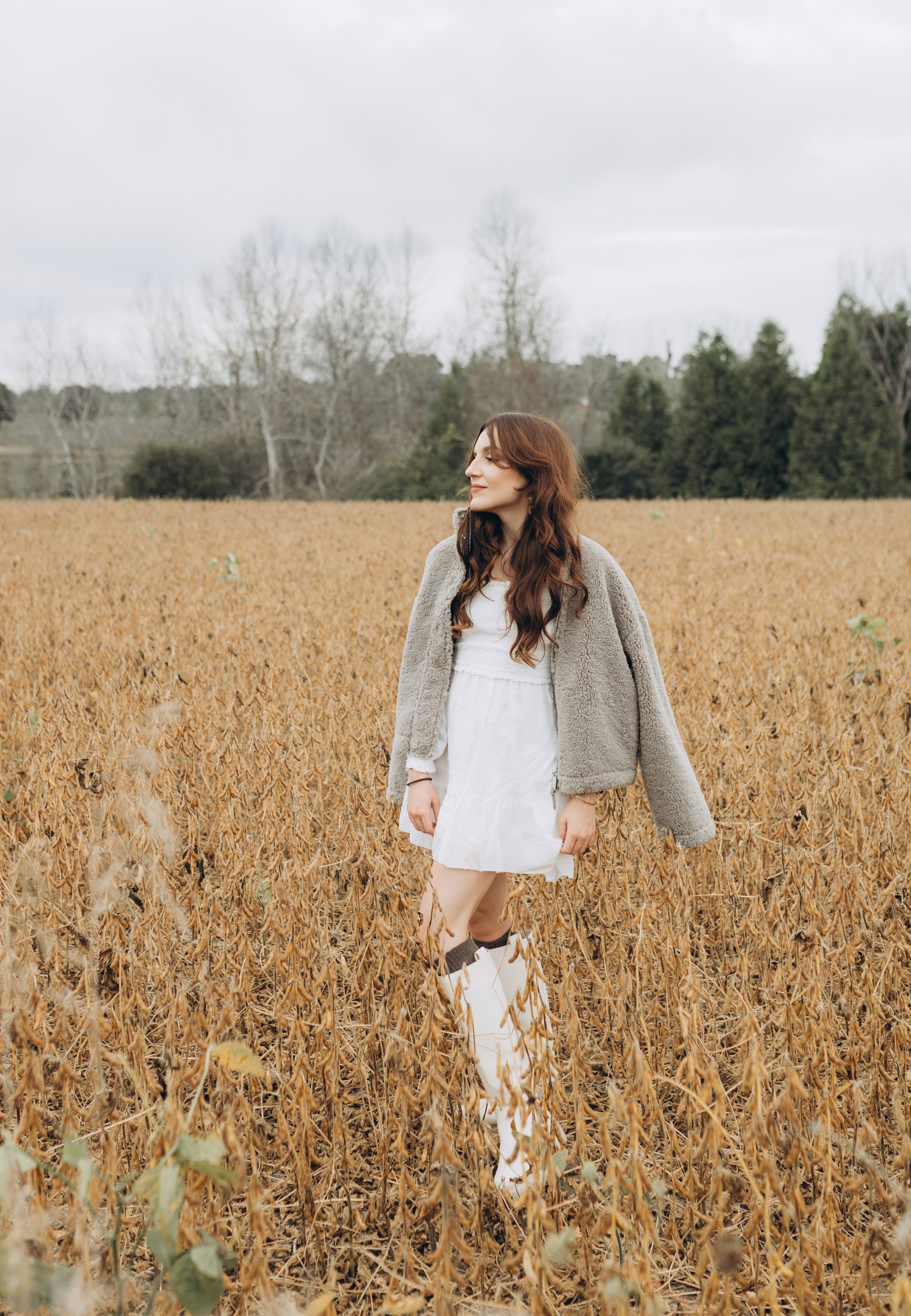 Alpacas Farm. Chernenko.photography