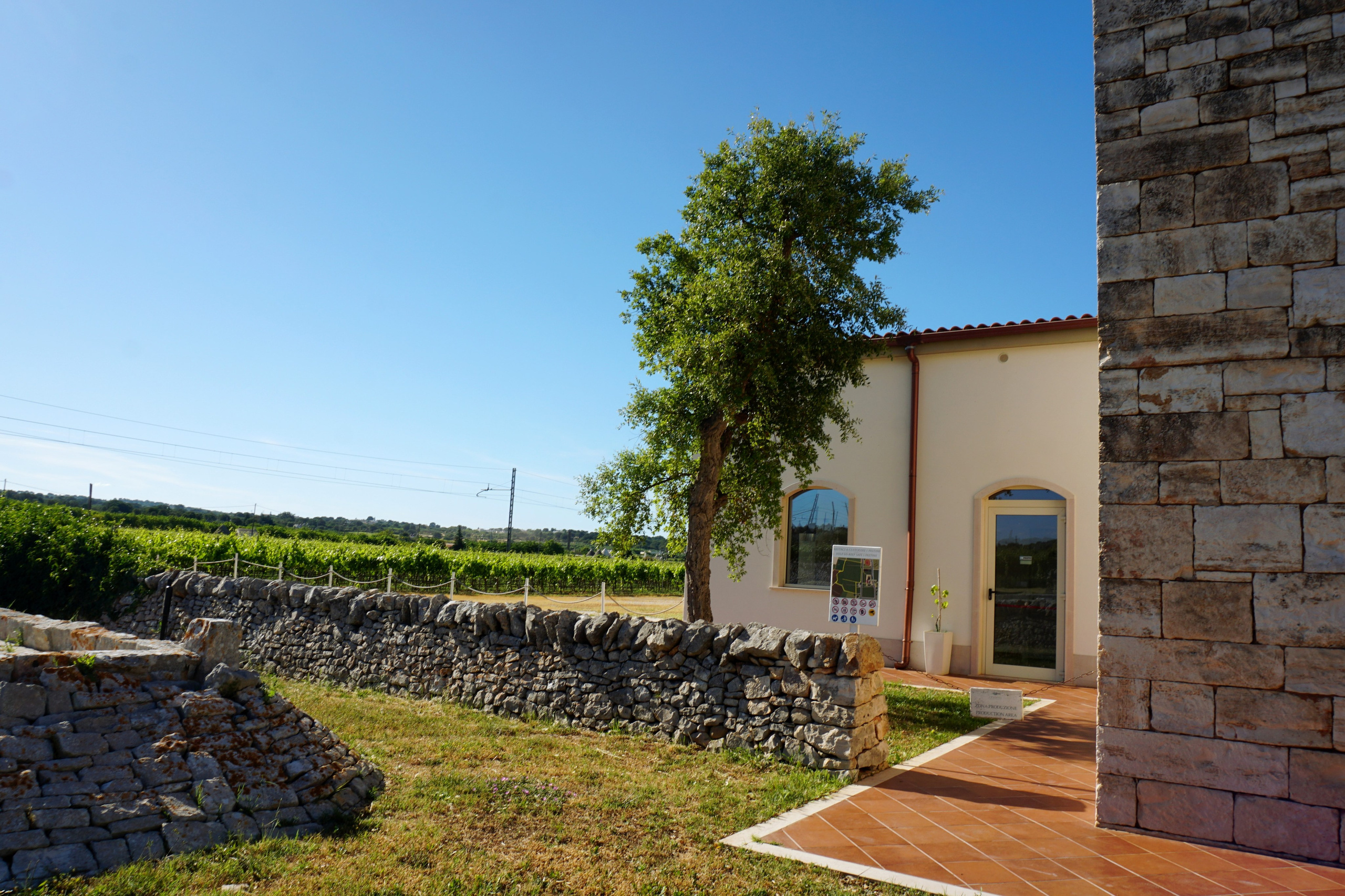 CANTINA-I PASTINI. Albina Sokhova | Fotografa in Italia: Ritratti, Famiglie, Matrimoni e Branding