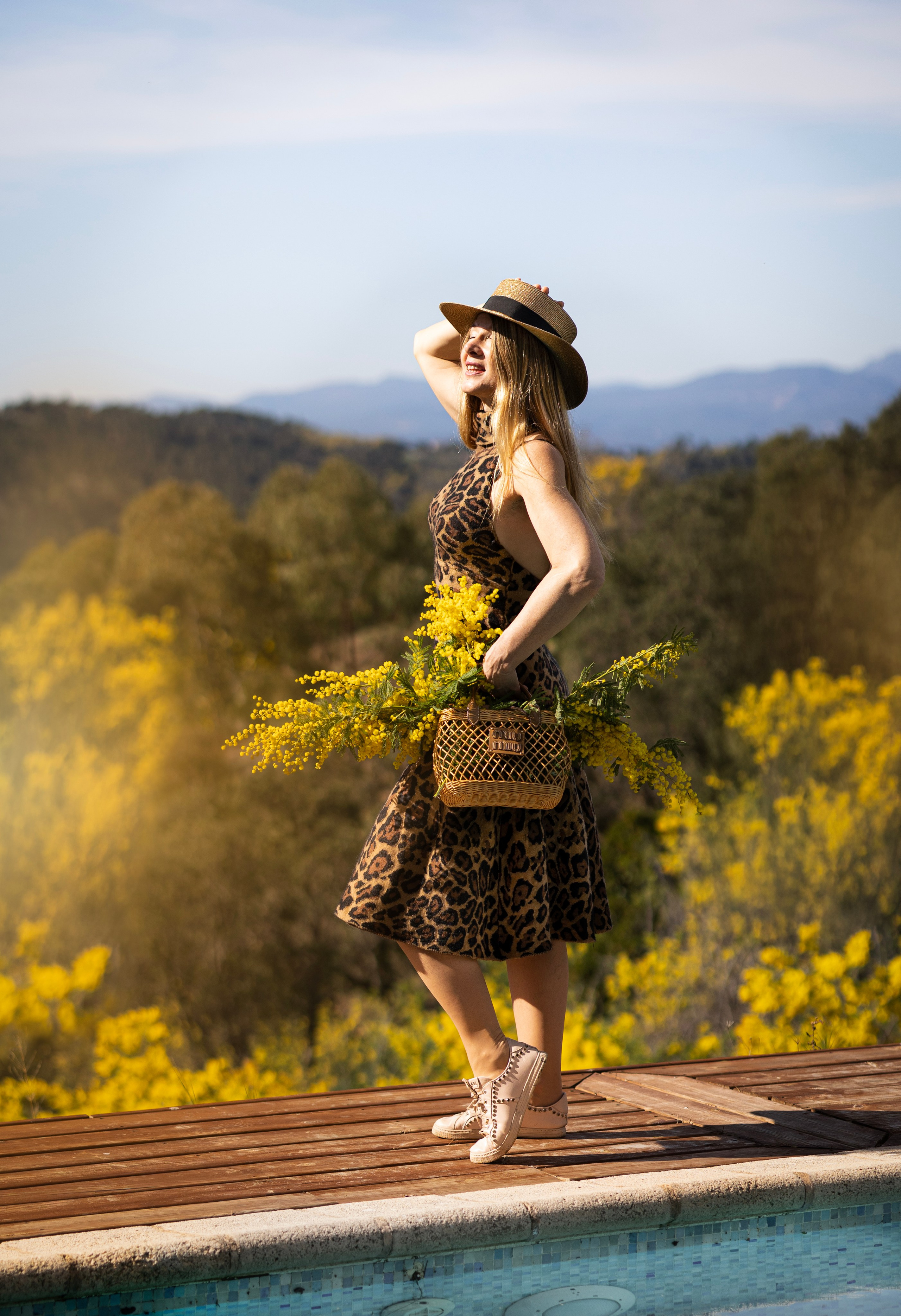 Mimosa. Photographer in Munich