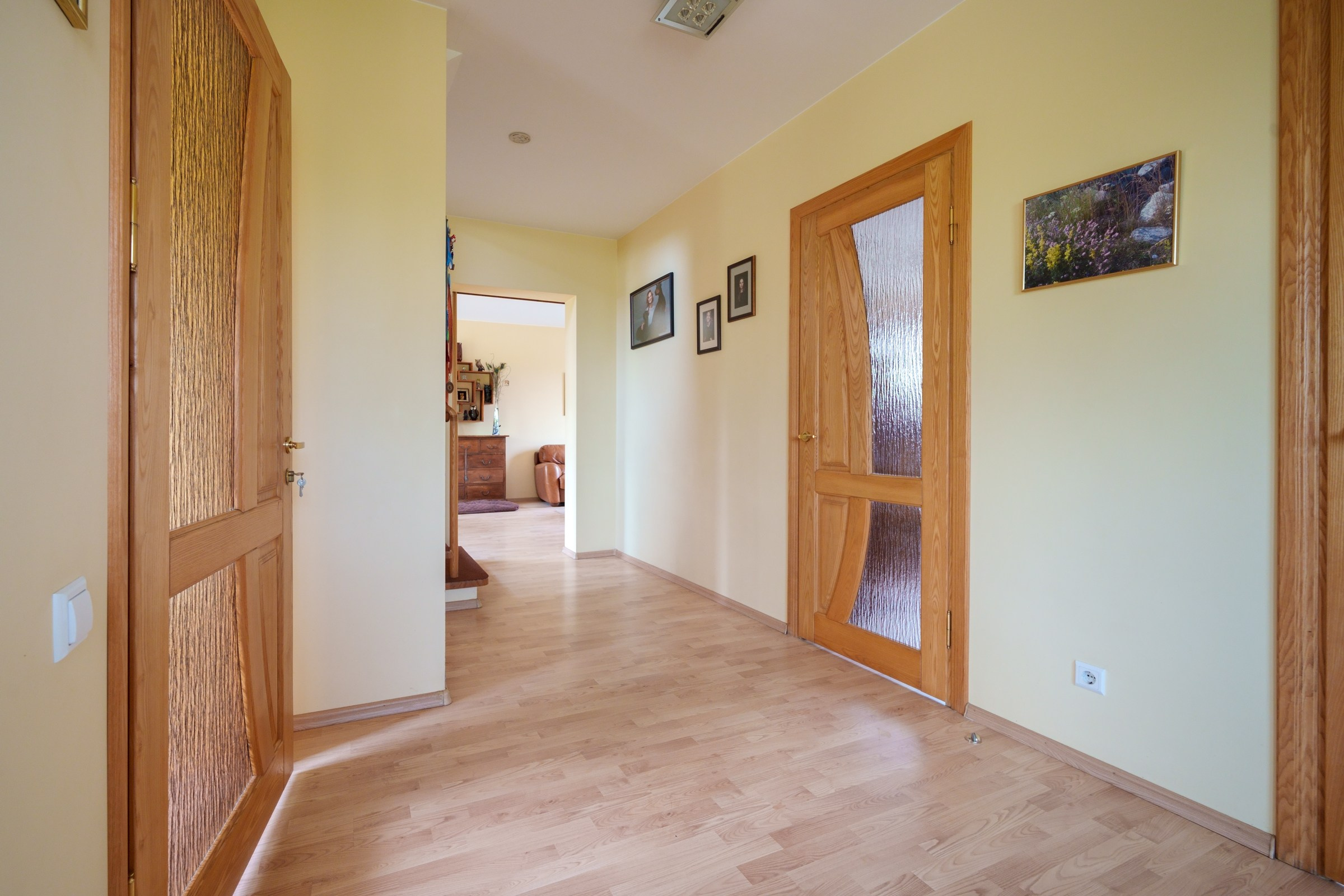 Viršupio sodų 1-oji. Elina Sapiega fotografė Vilniuje