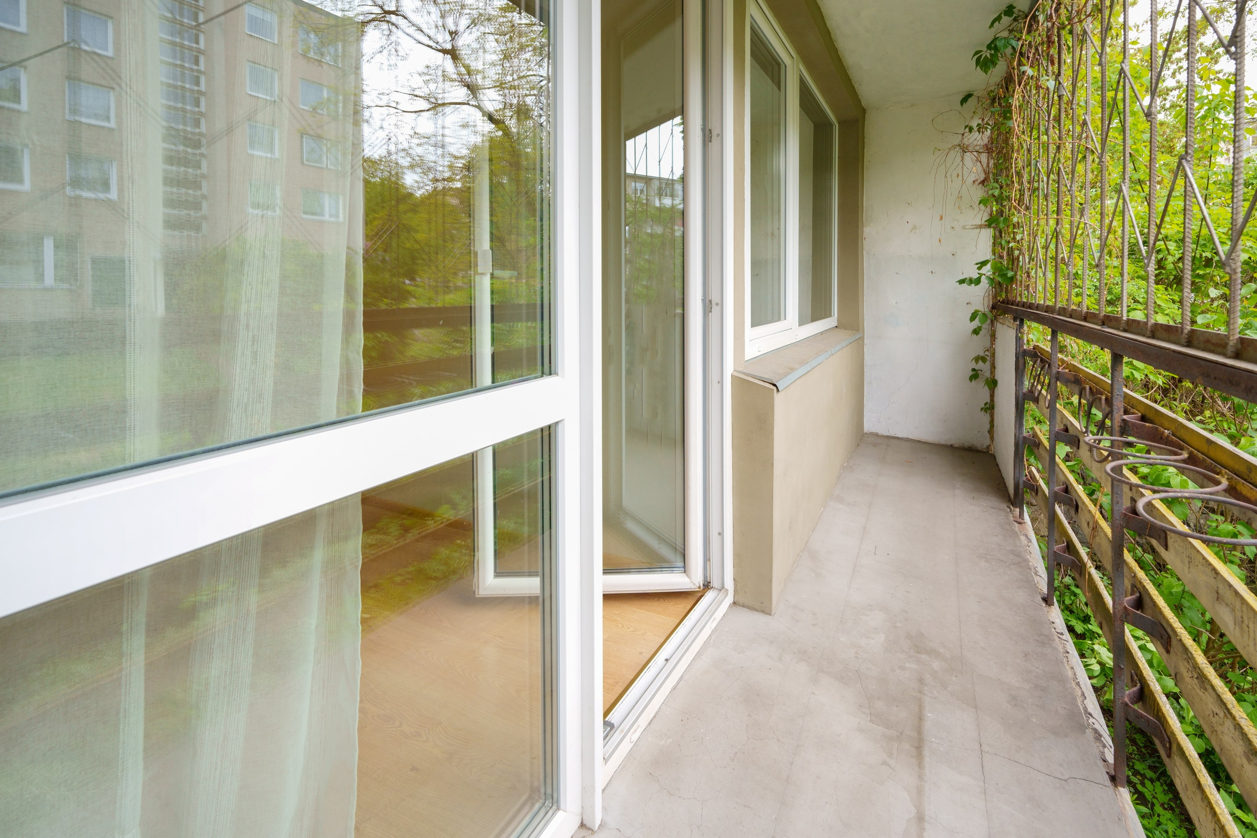 Antakalnio g. 64. Elina Sapiega fotografė Vilniuje