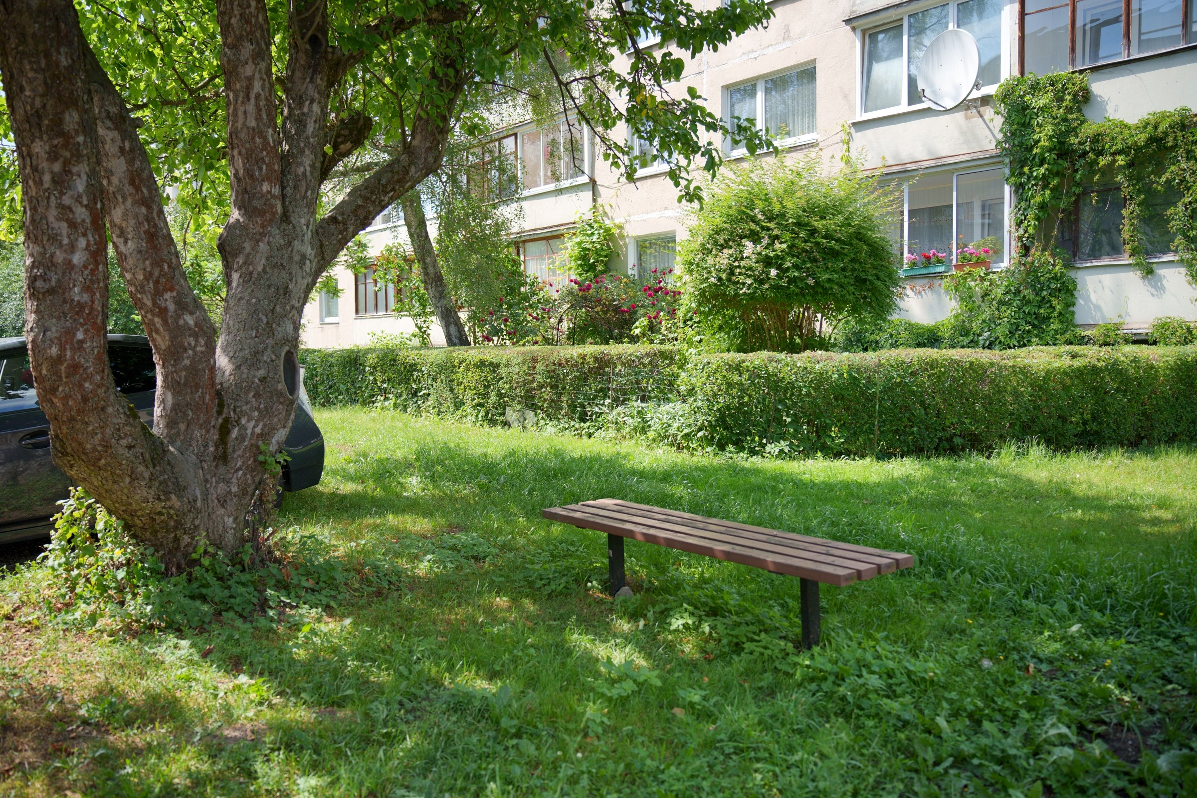 Tuskulėnų g. 8. Elina Sapiega fotografė Vilniuje