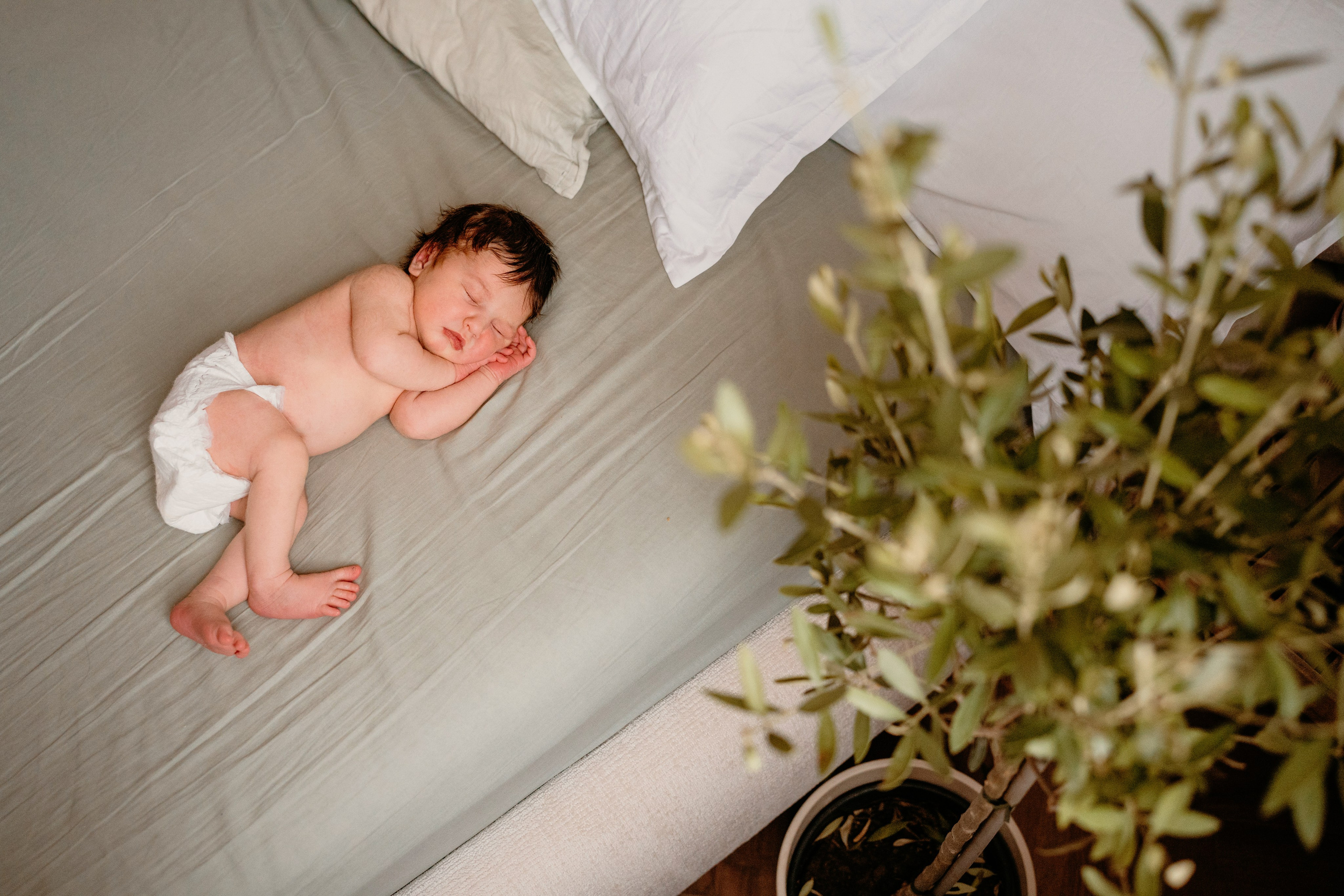 Оливия. Фотограф новорожденных и детей первого года Евгения Михалькевич