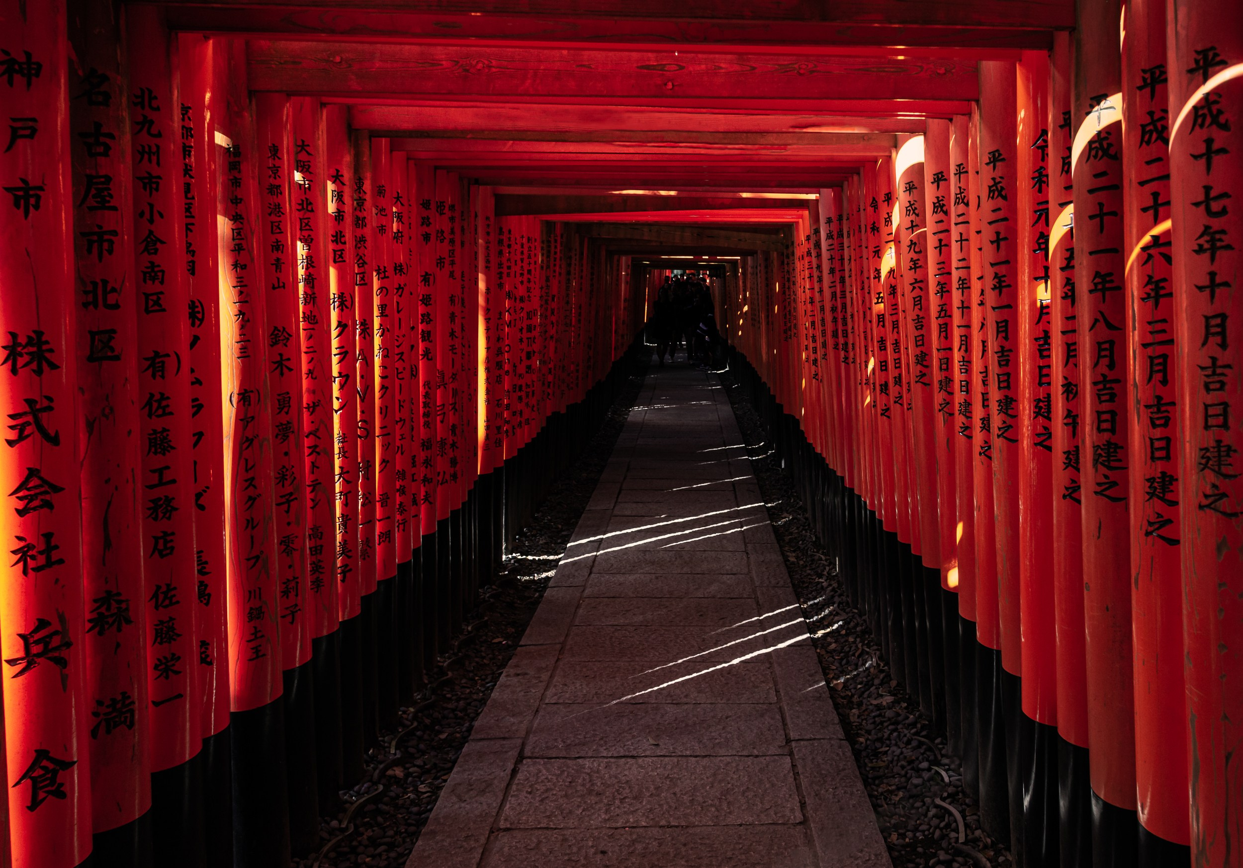 Japan. Marius Ciocan