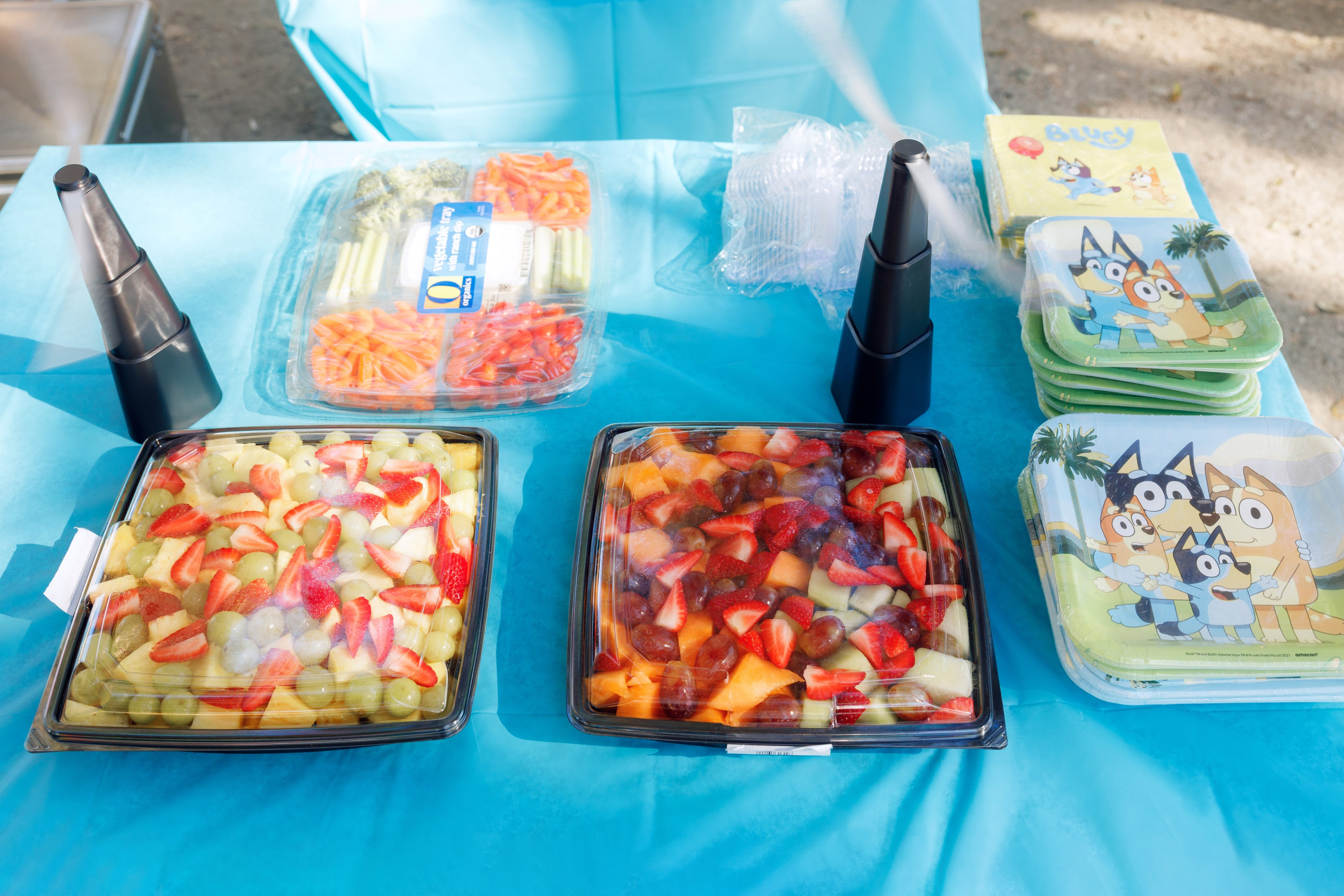 3rd birthday. Family and Event photographer in Bay Area Elena Tiuriumina