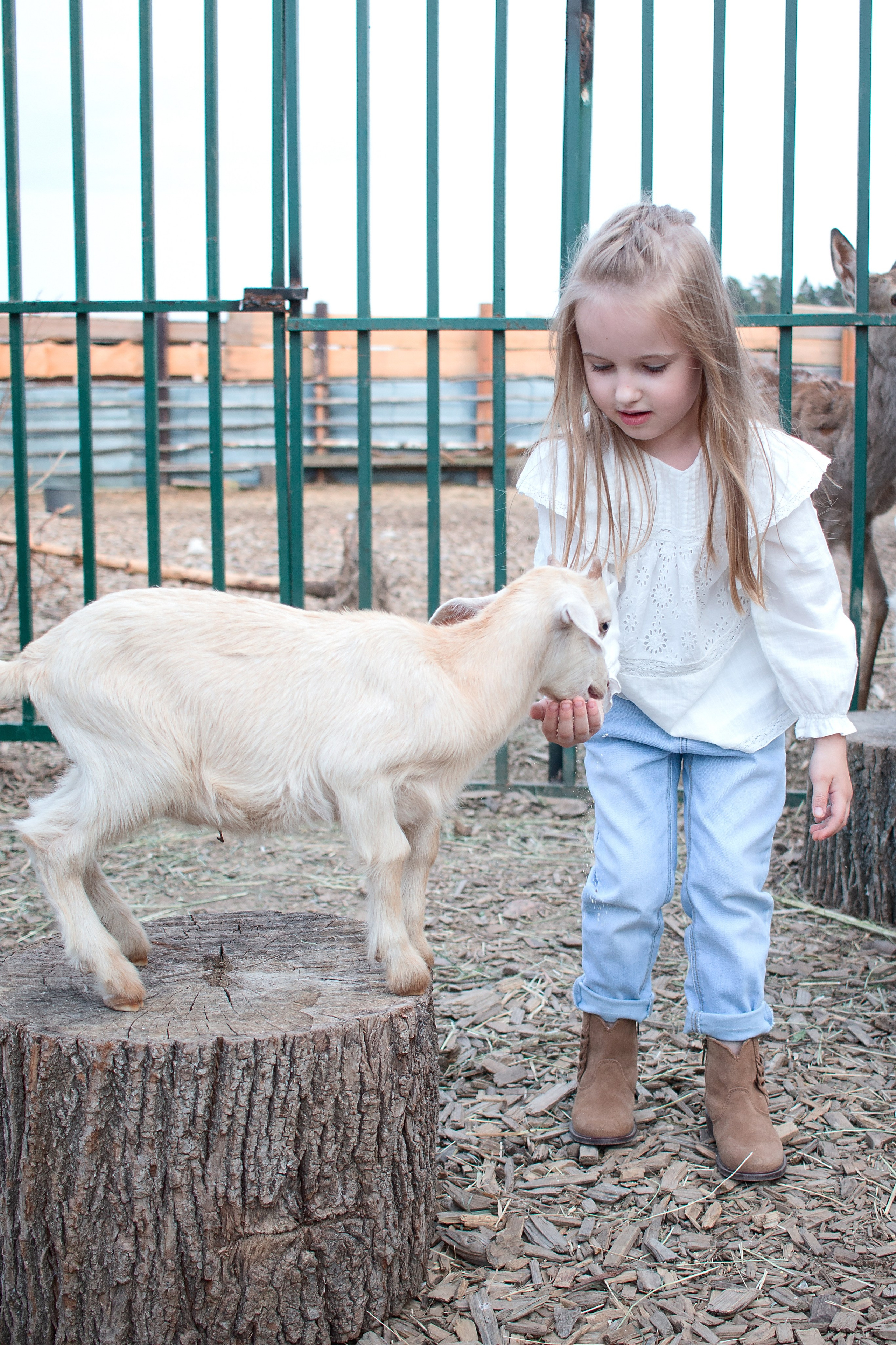 Конюшня. Детский и семейный фотограф в г. Бельцы