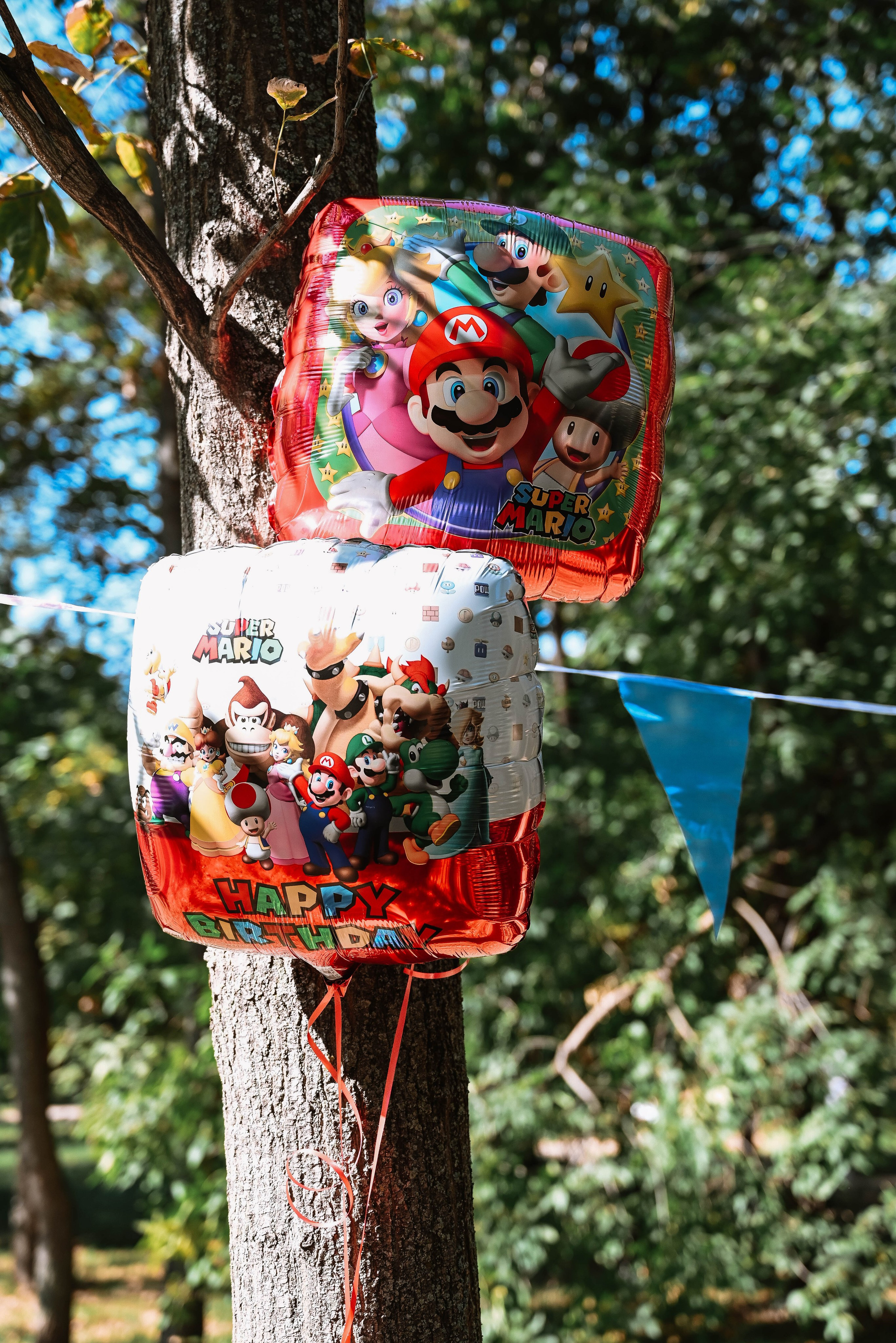 Novak 5. rođendan. Dečiji i porodični fotograf