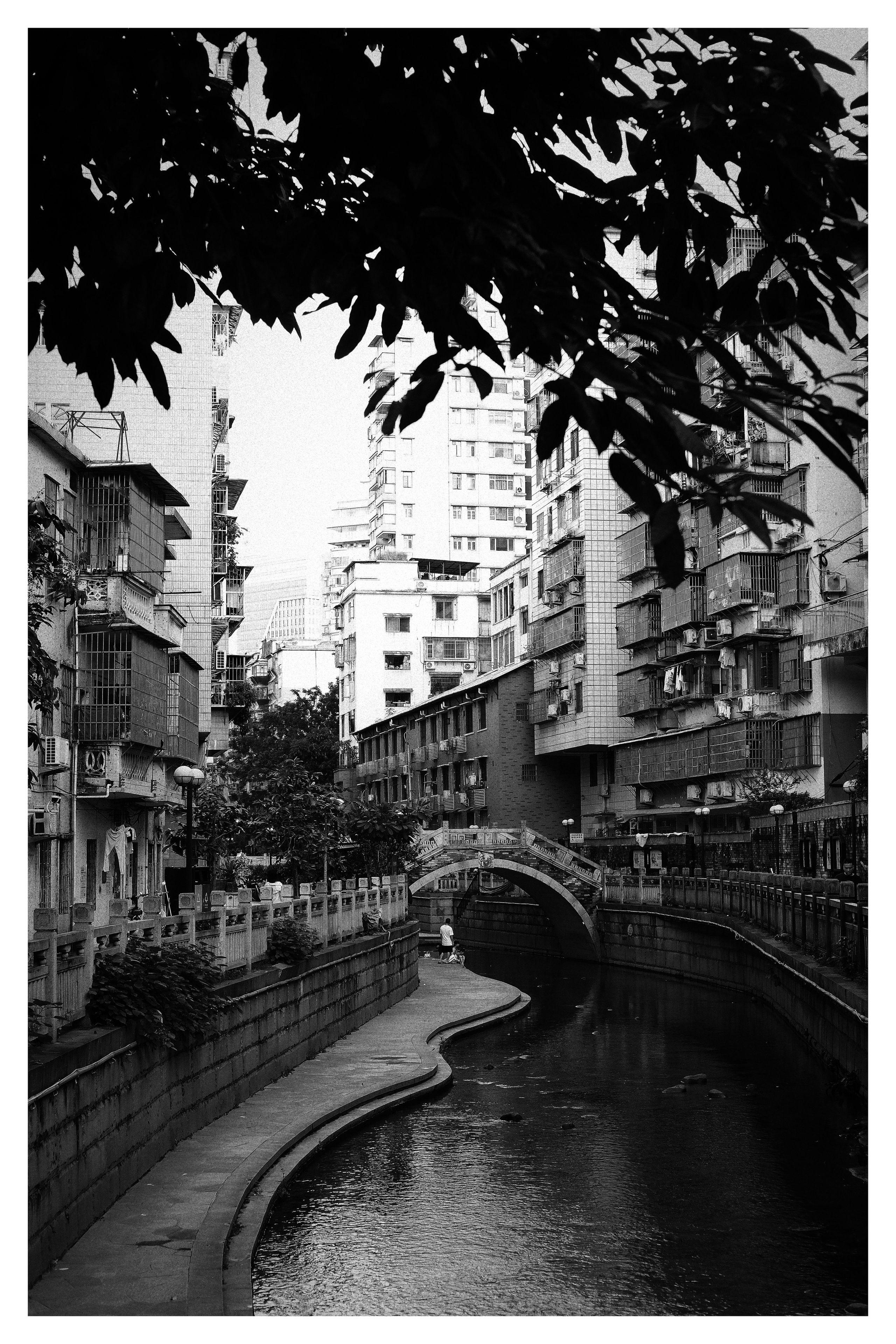 Capturing Life in Black and White - Candid Street Photography