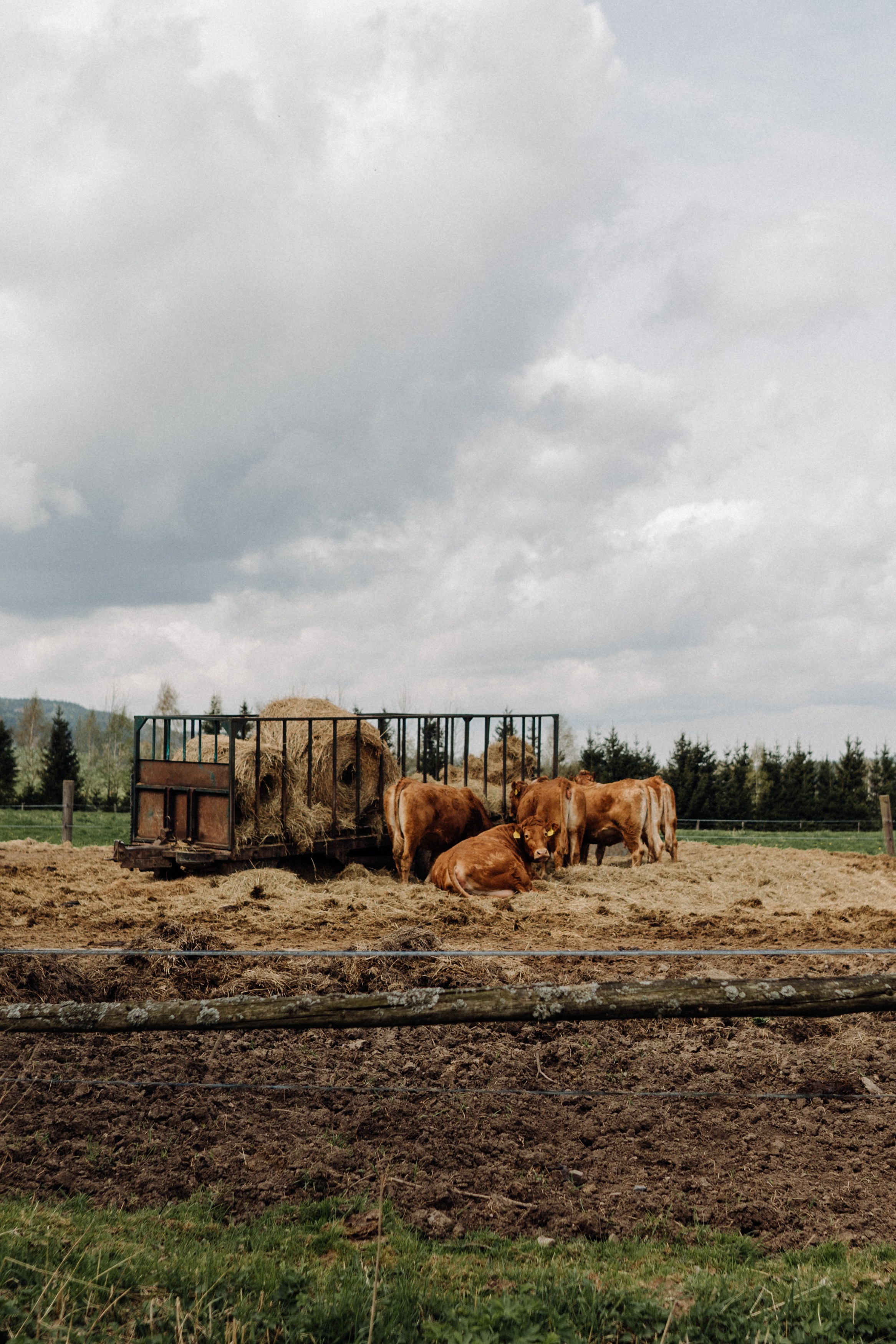 Czech Republic. Фотограф в Праге Анна Лебедева