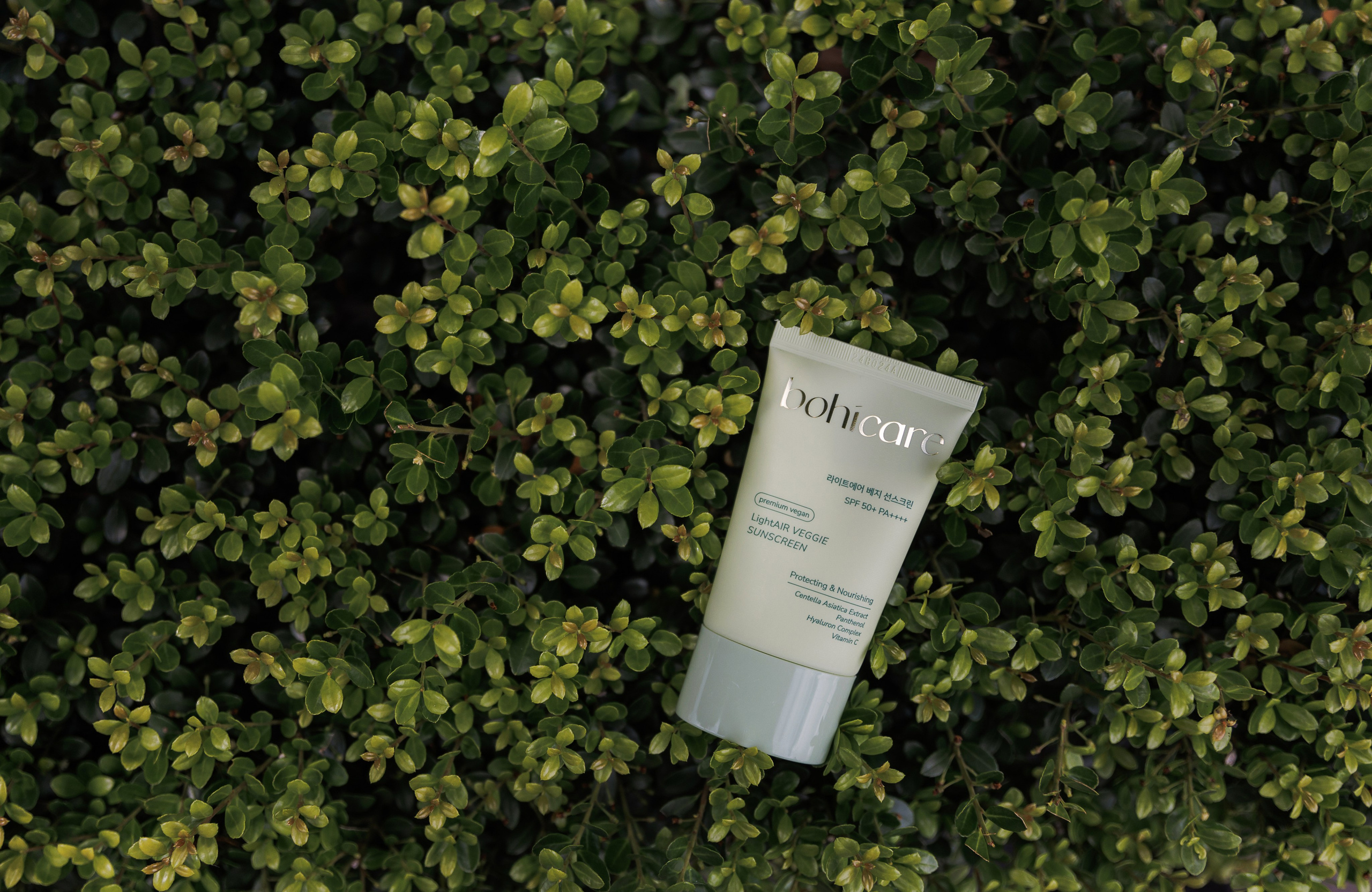 Jeju Island K-Beauty Tour (bohicare). Portrait photographer in South Korea Olga Lian