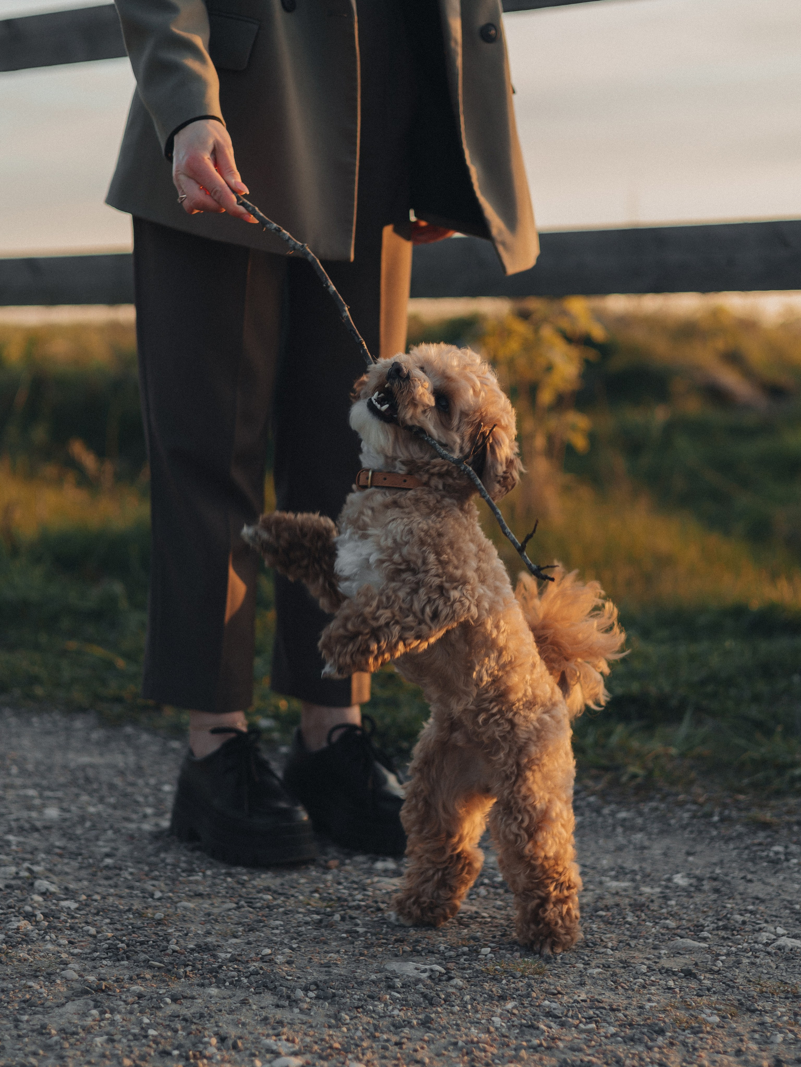 Катя, Никита и Монти. Семейный фотограф в Таллинне Дарья Кивимейстер