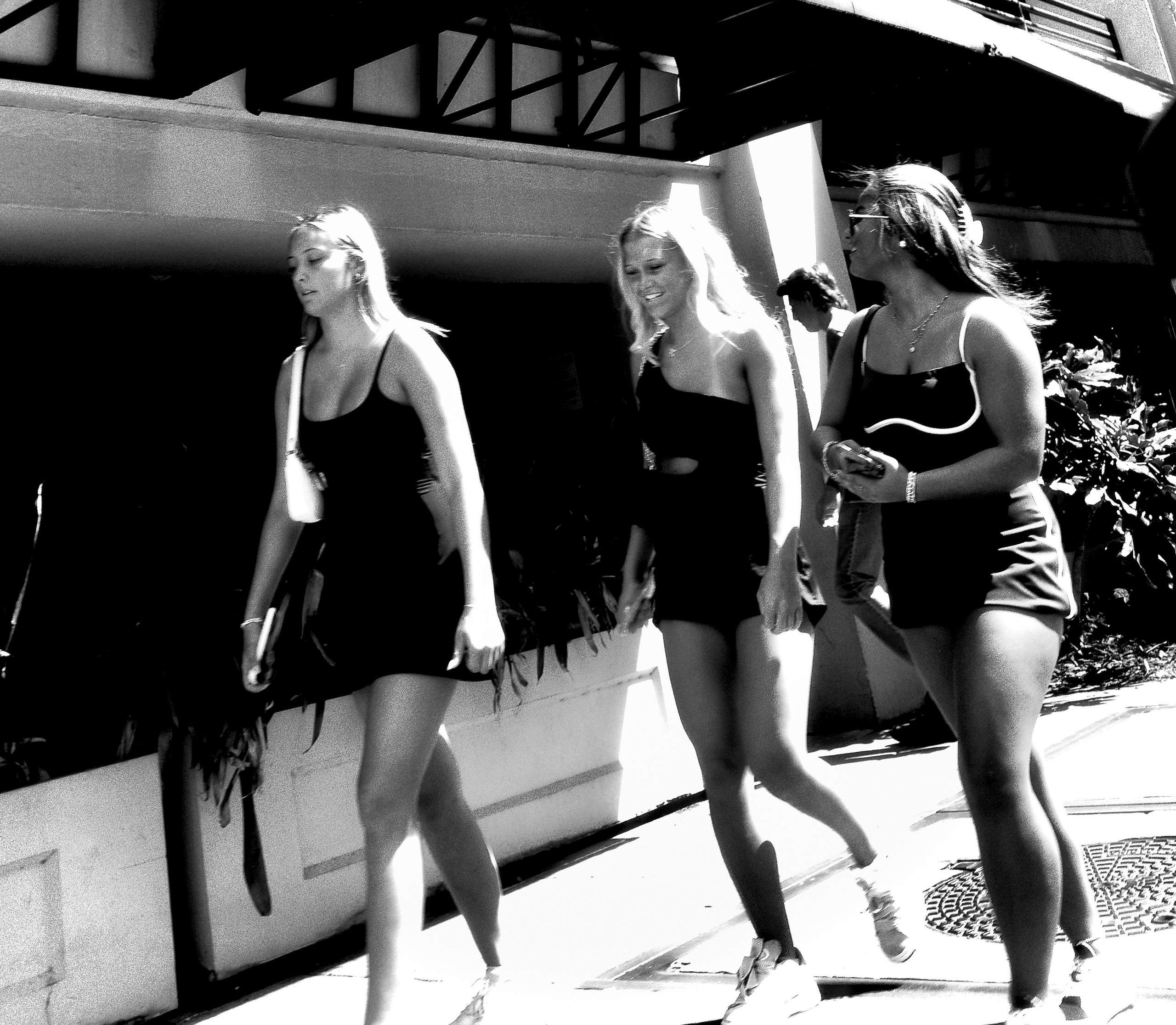 Monochrome. Sonny Photos