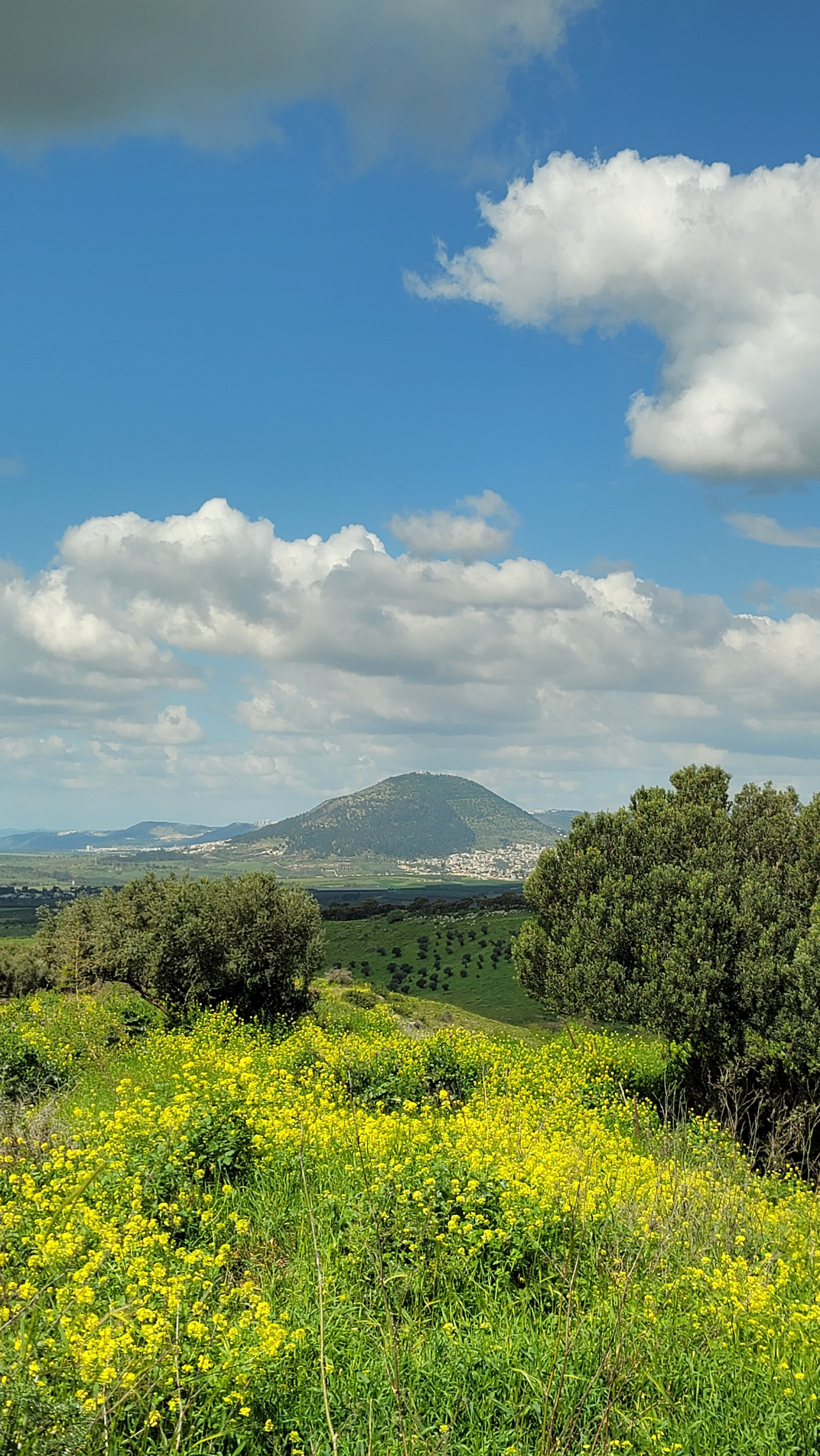 Реконструкционный поход Shvil Israel 2024 — Клуб «Нортман». КРиС «Нортман»