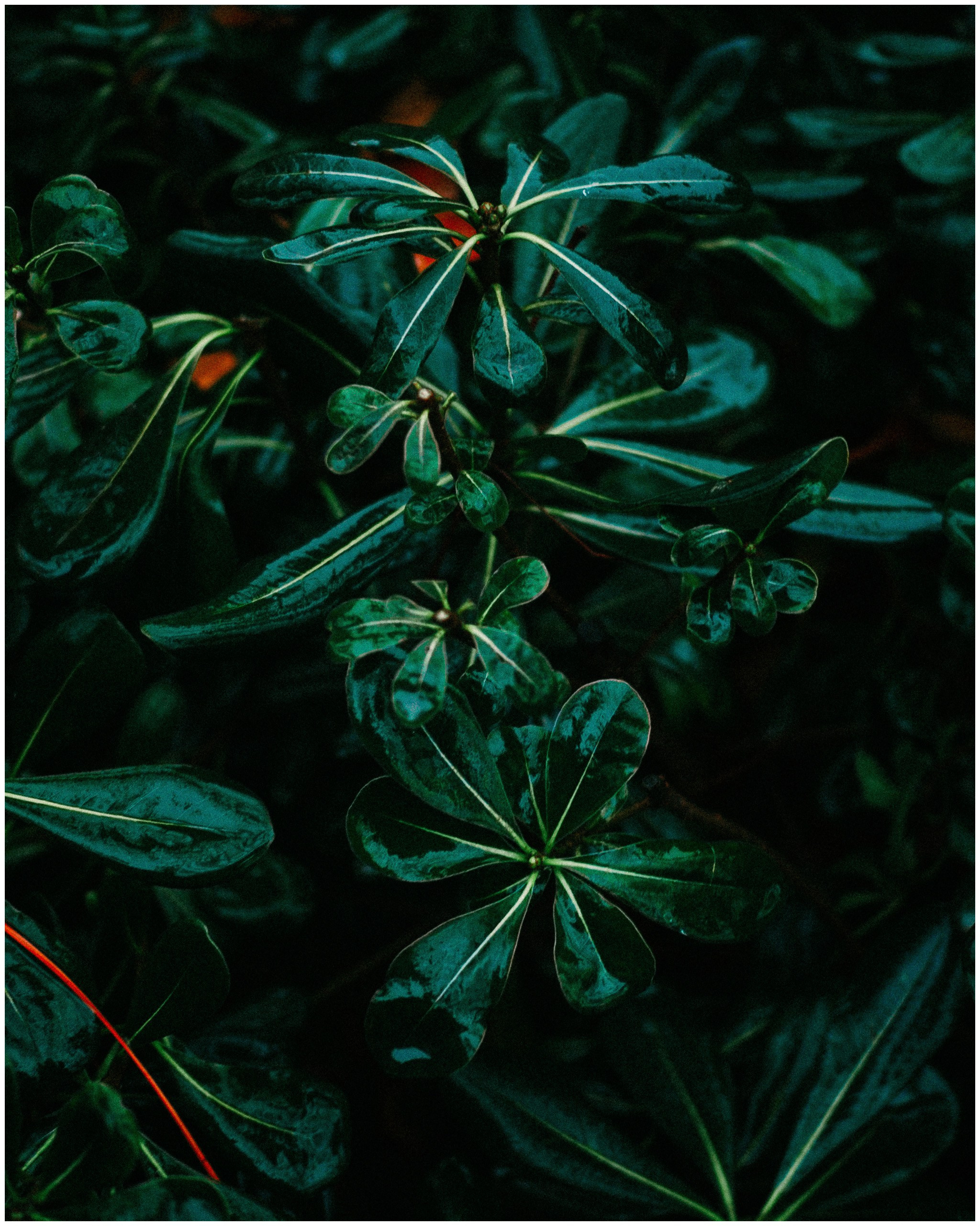 BARCELONA. Inna Mendelson — Photographer