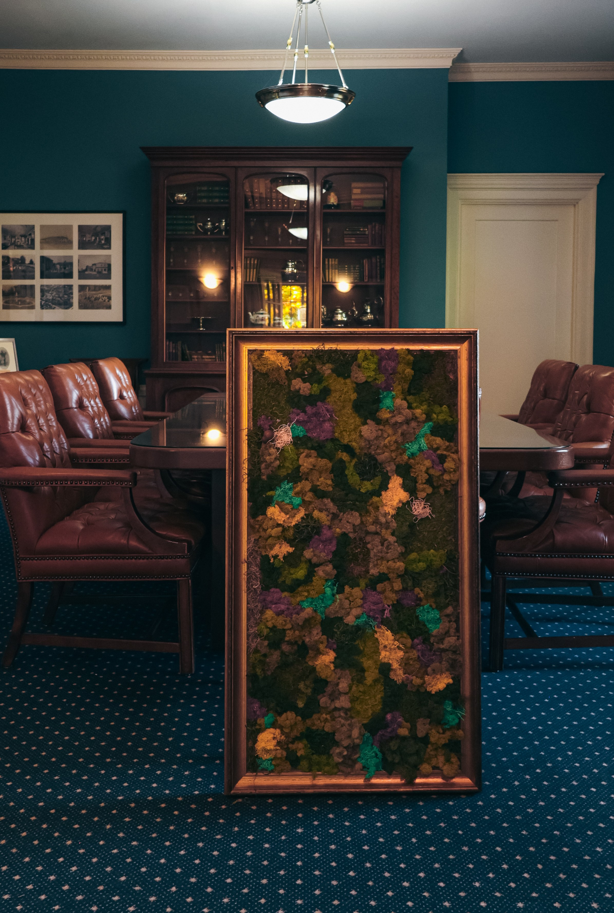 Anna & Moss magic, Content. Yana Bobrova | Artistic Photography