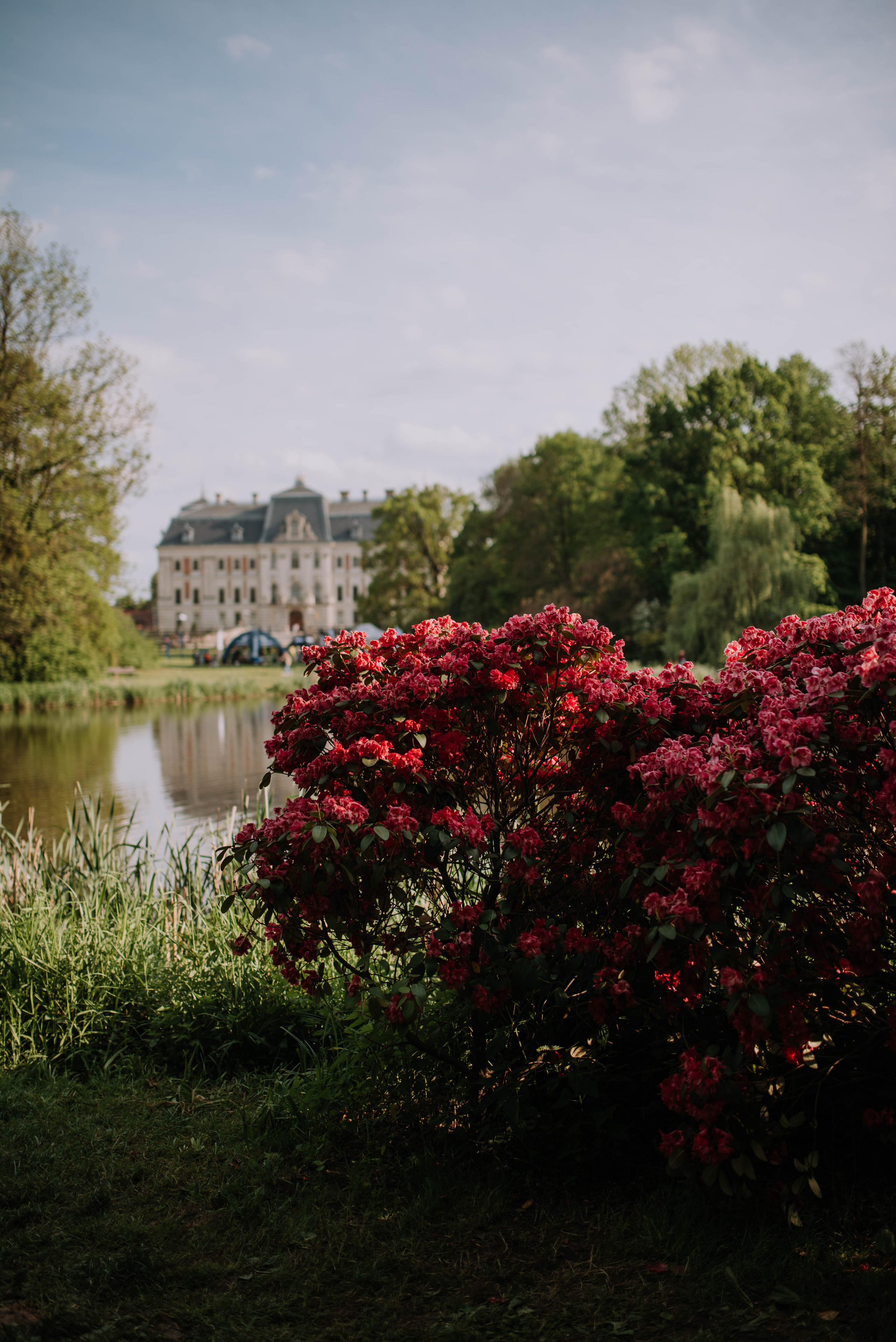 Katia i Vania. Home page